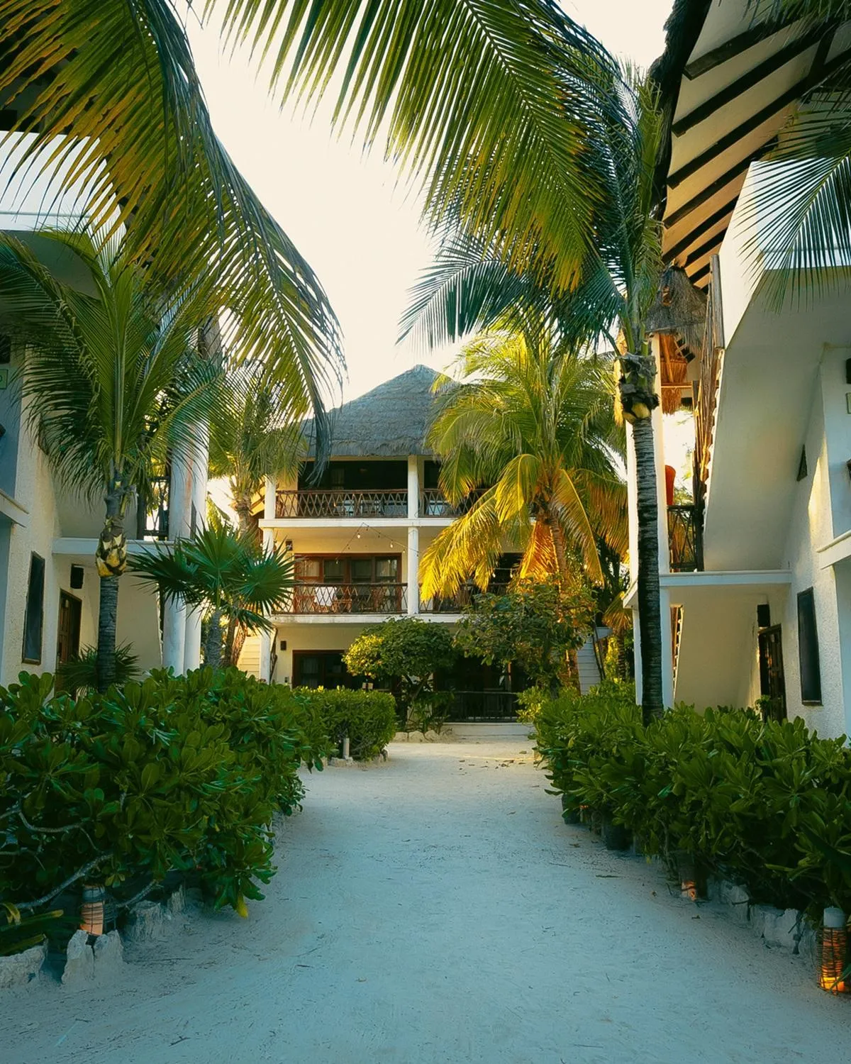 Property building in Mia Tulum Beachfront Resort - Ocean View Suites and Beach Club