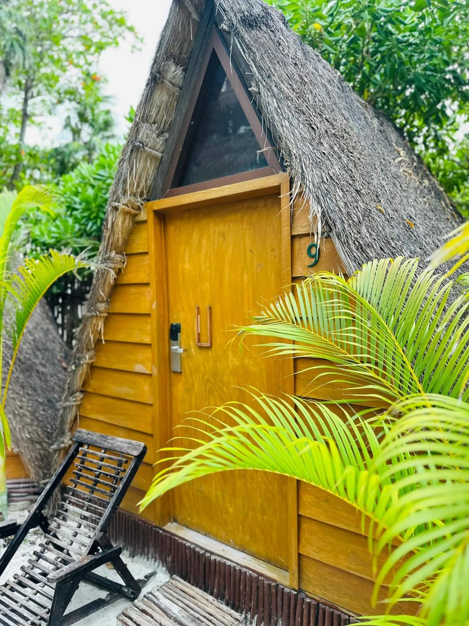 Day in Mia Tulum Beachfront Resort - Ocean View Suites and Beach Club