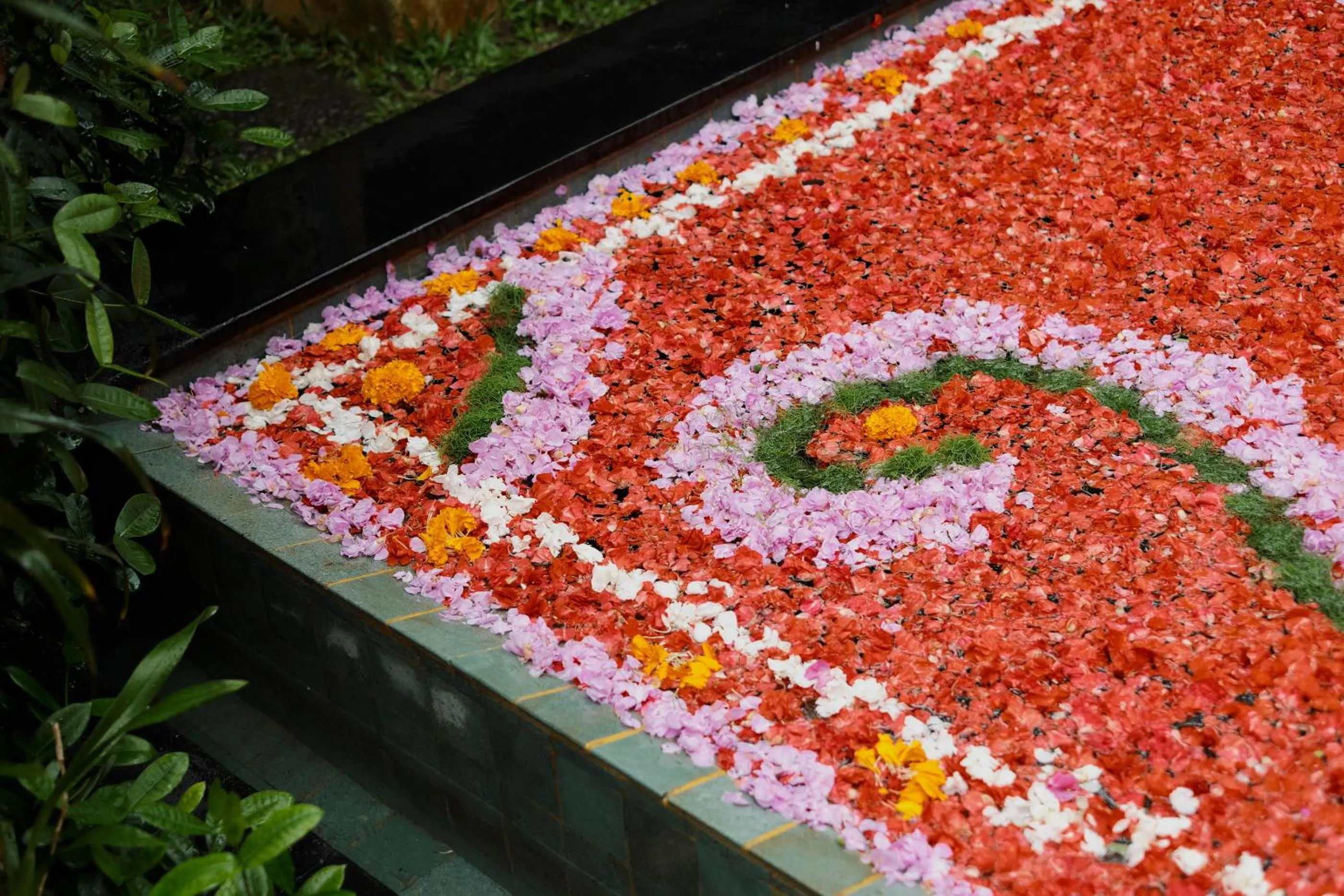 Swimming pool in Moringa Ubud Villa