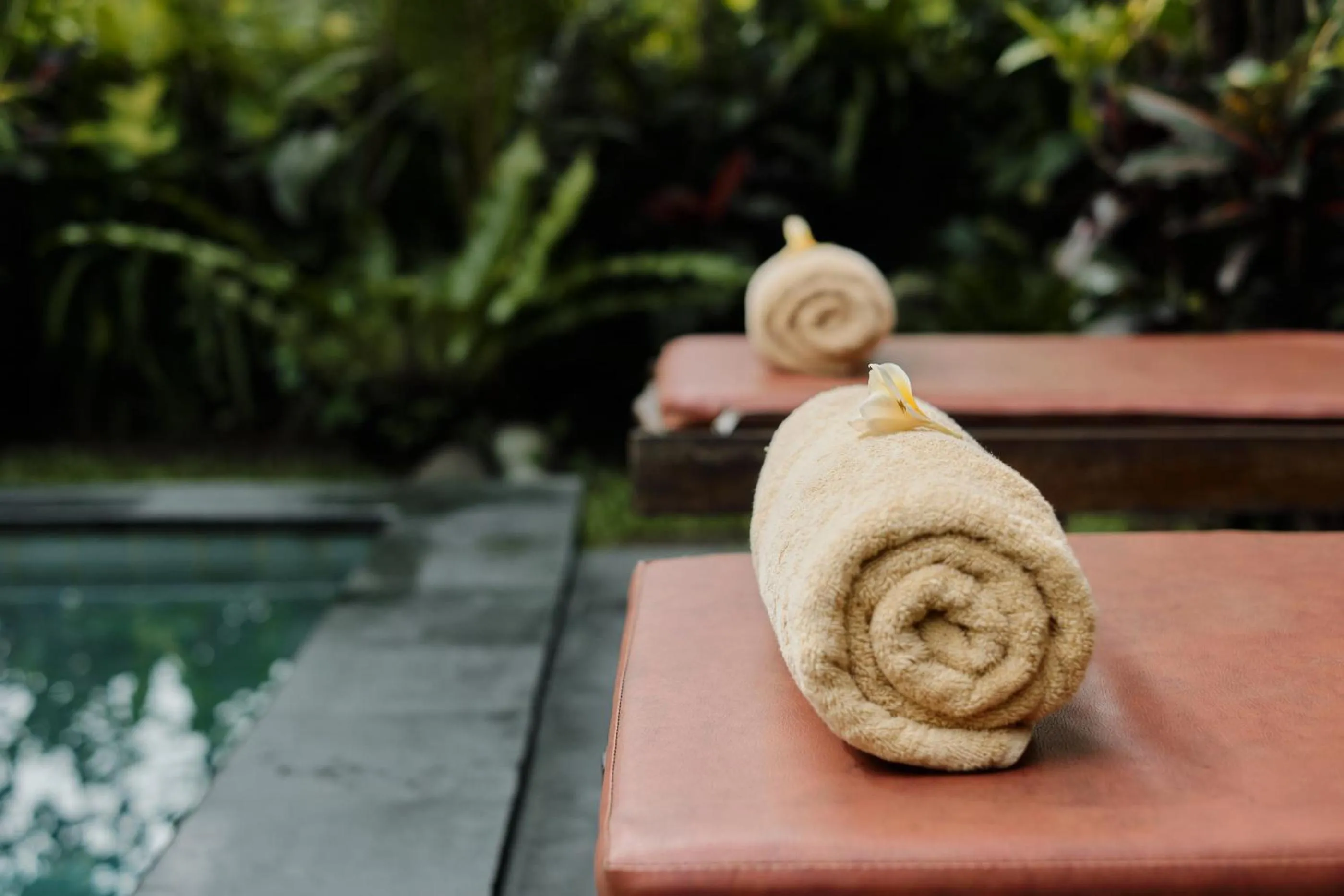 Swimming pool in Moringa Ubud Villa