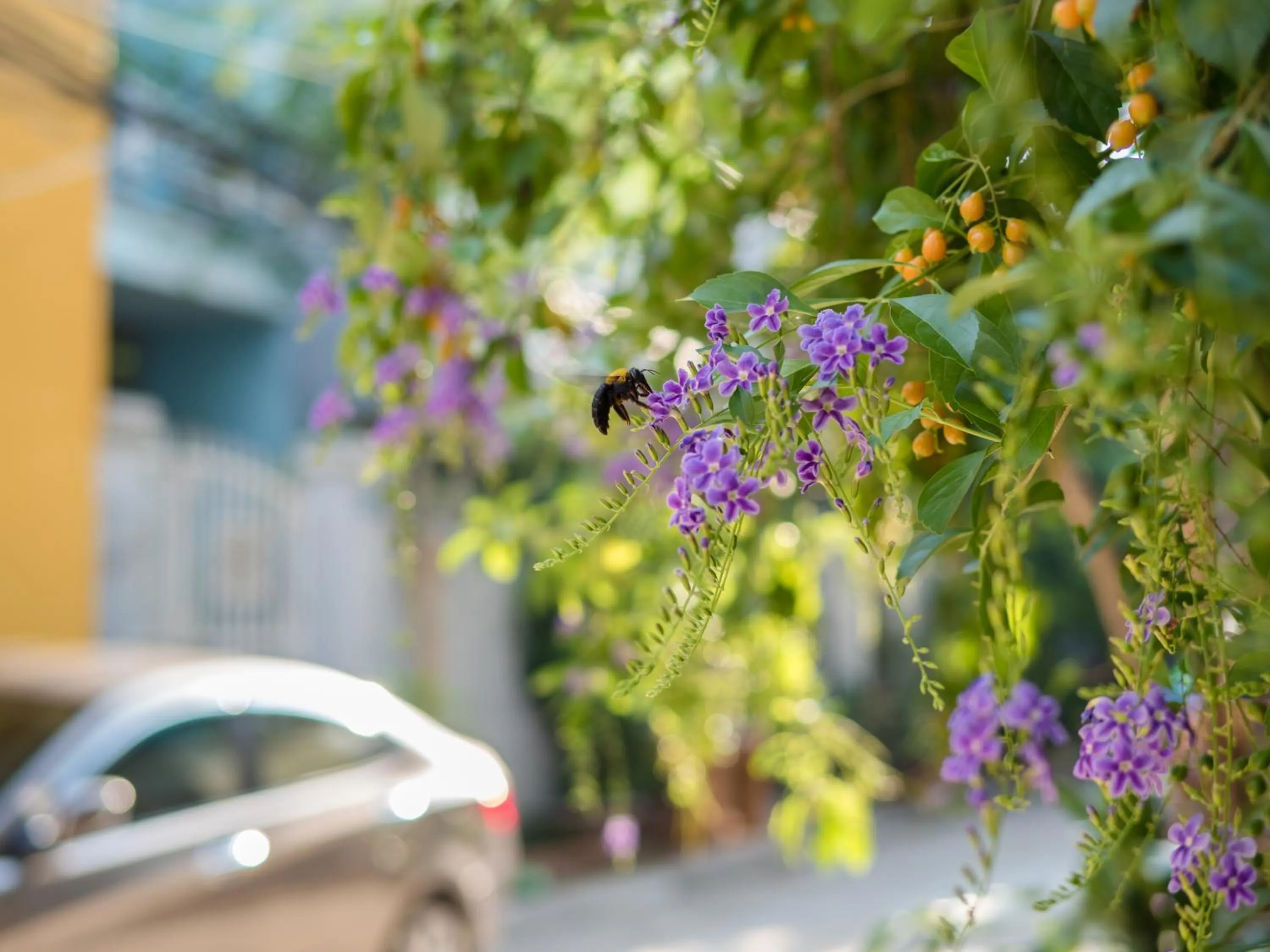 Seating area in Wings House