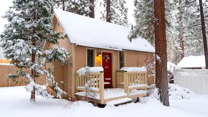 Sleepy Forest Cottages
