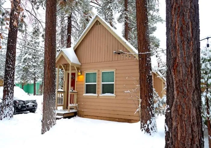 Sleepy Forest Cottages