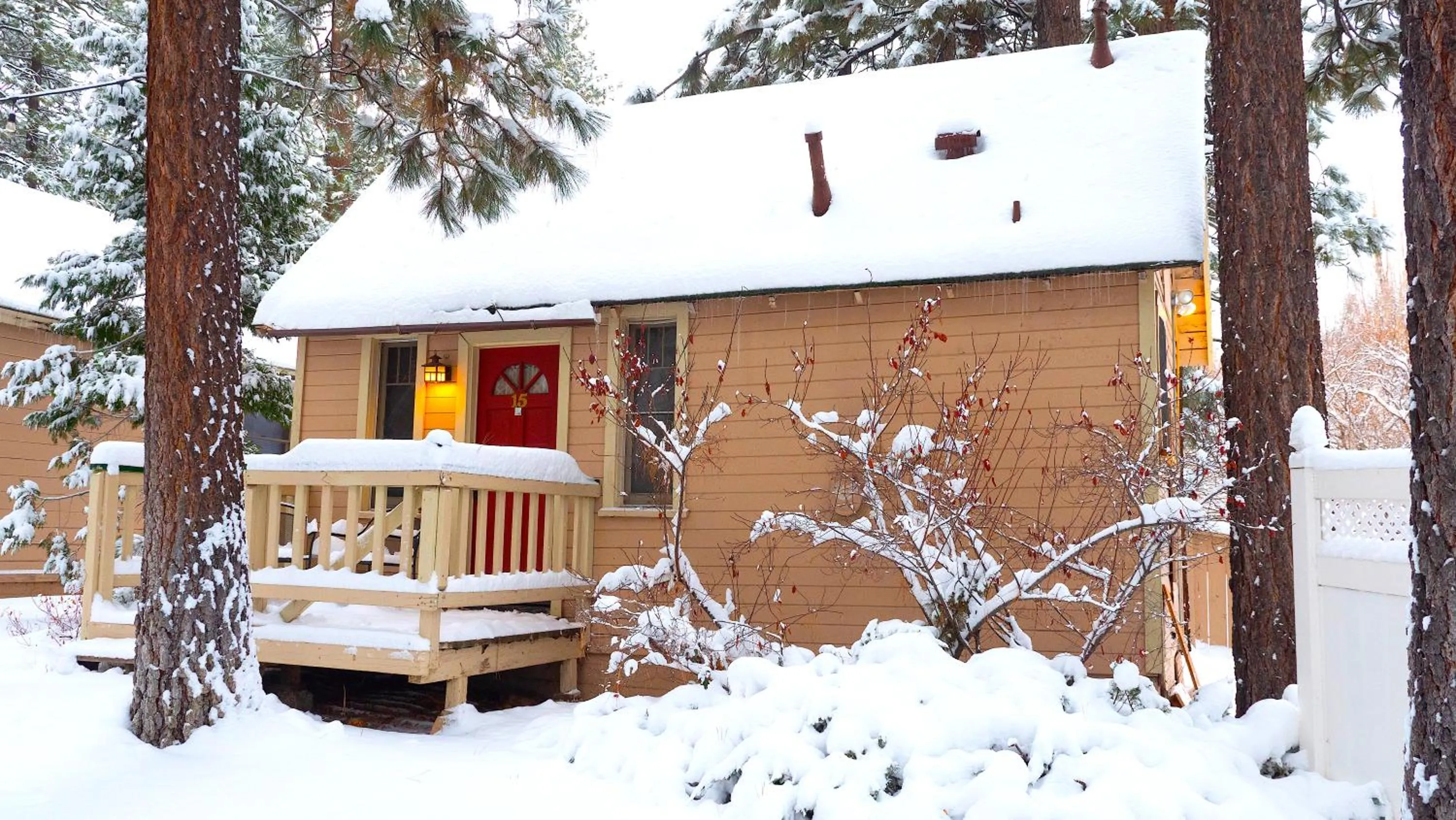 Sleepy Forest Cottages