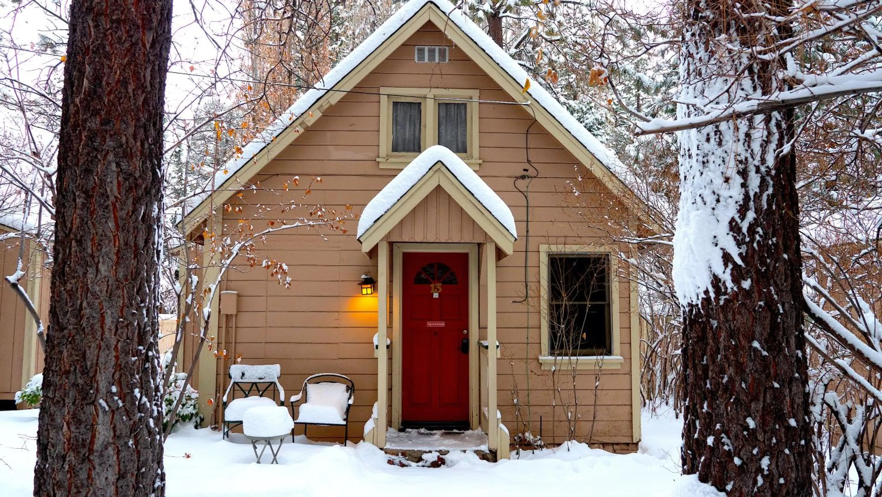 Sleepy Forest Cottages