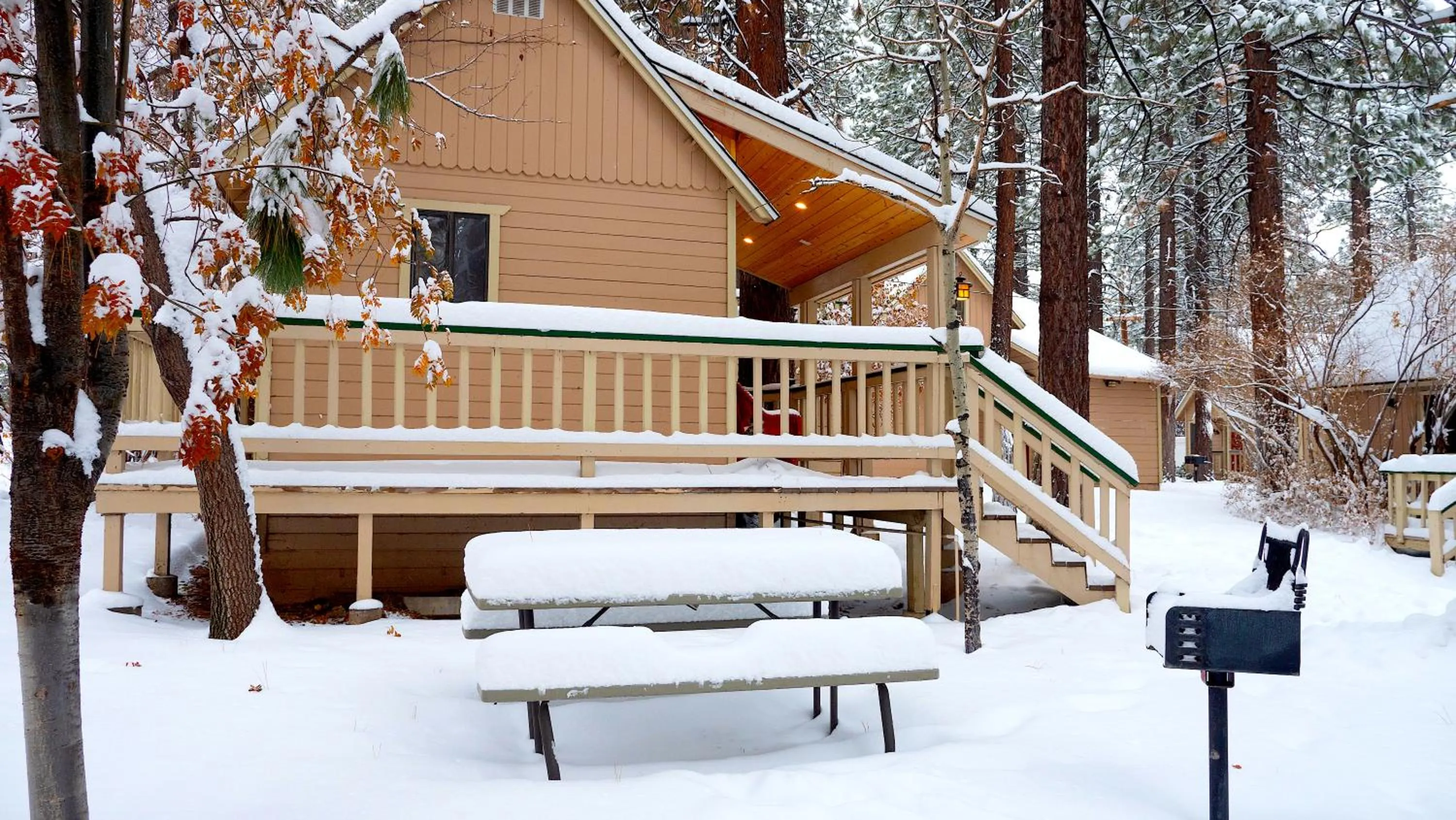 Sleepy Forest Cottages