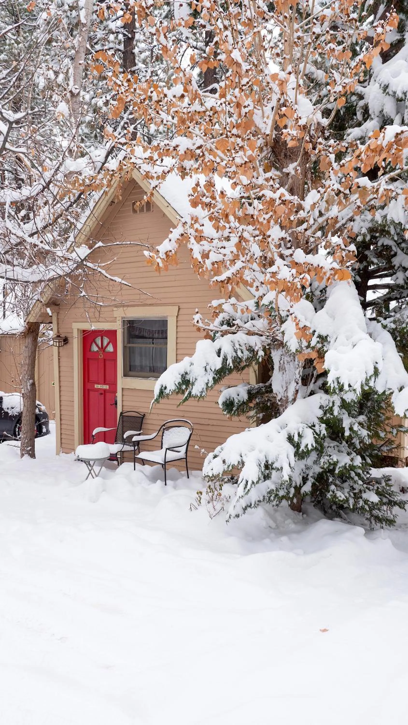Sleepy Forest Cottages