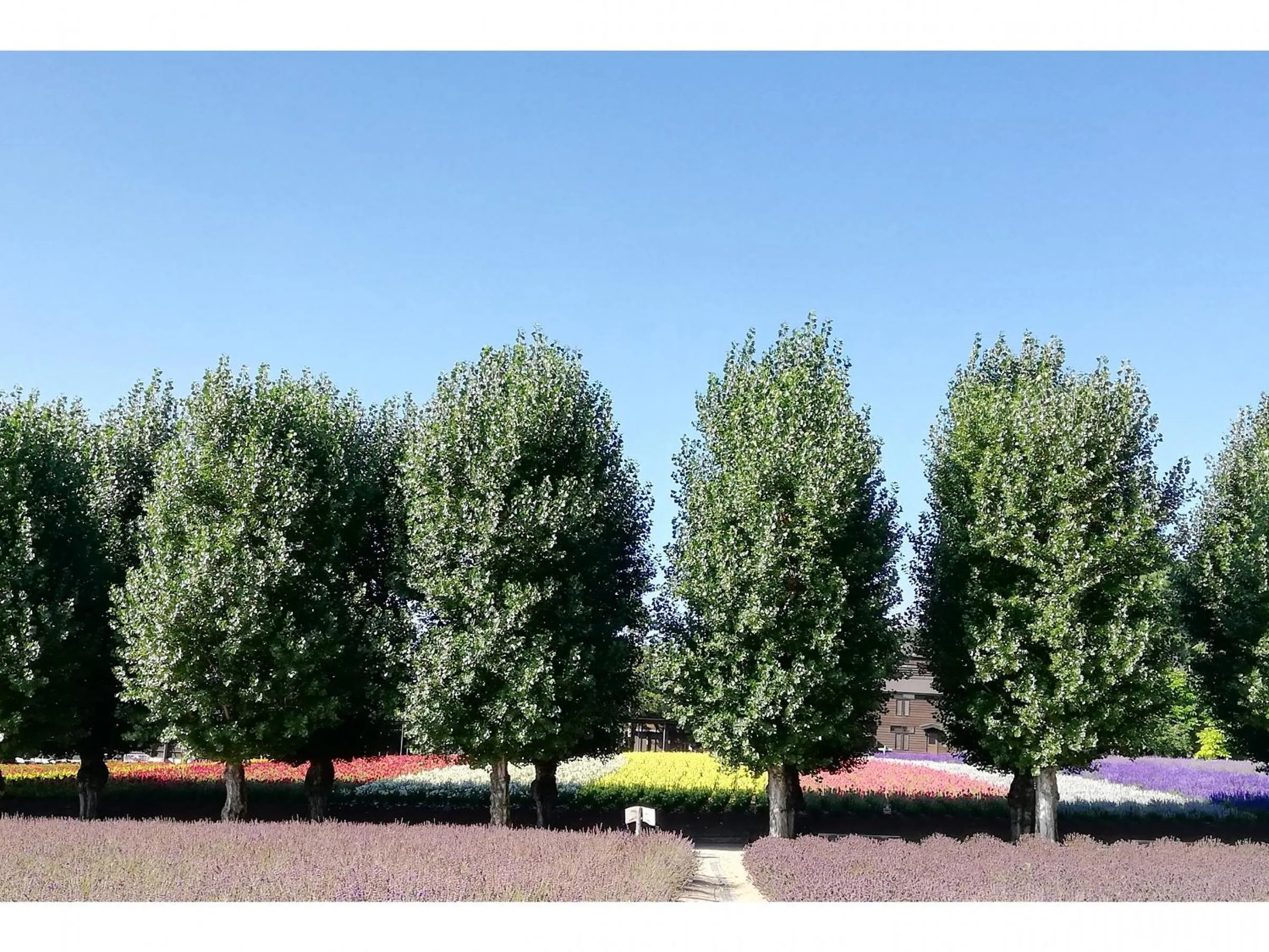 Nearby landmark in Hotel Hanafuji Inn