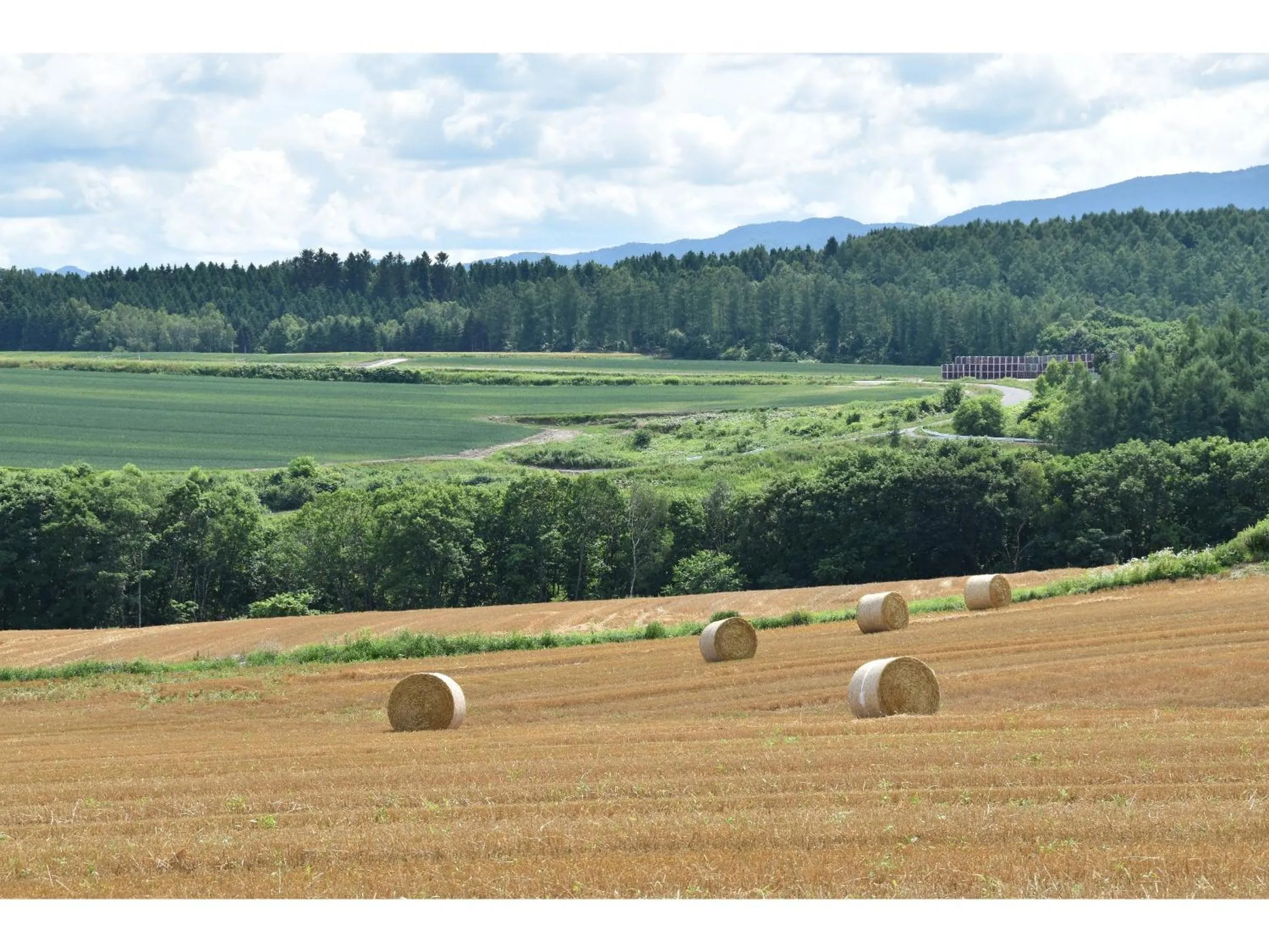 Neighbourhood in Hotel Hanafuji Inn