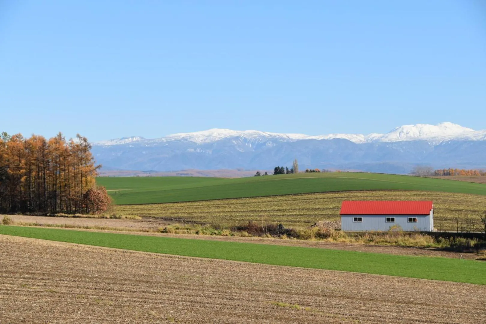 Off site in Hotel Hanafuji Inn