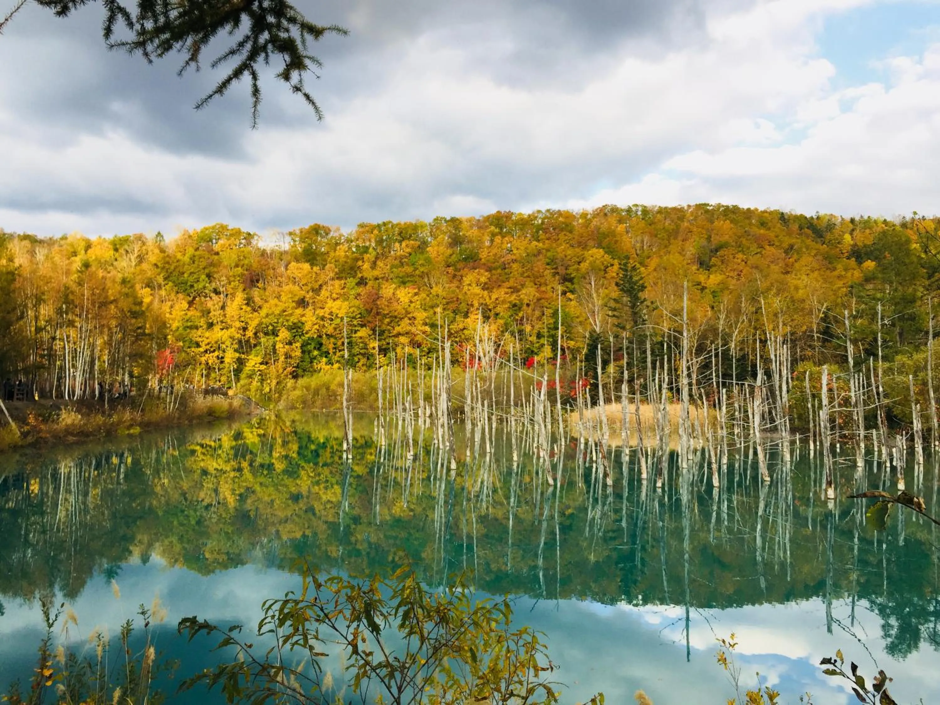 Off site in Hotel Hanafuji Inn