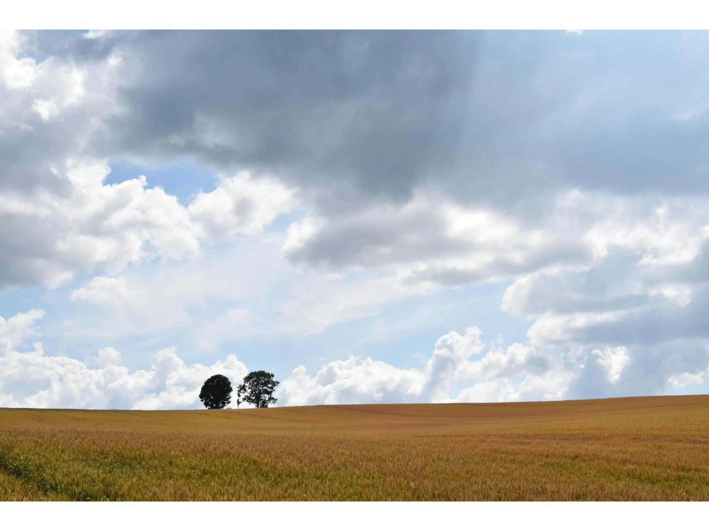 Nearby landmark in Hotel Hanafuji Inn