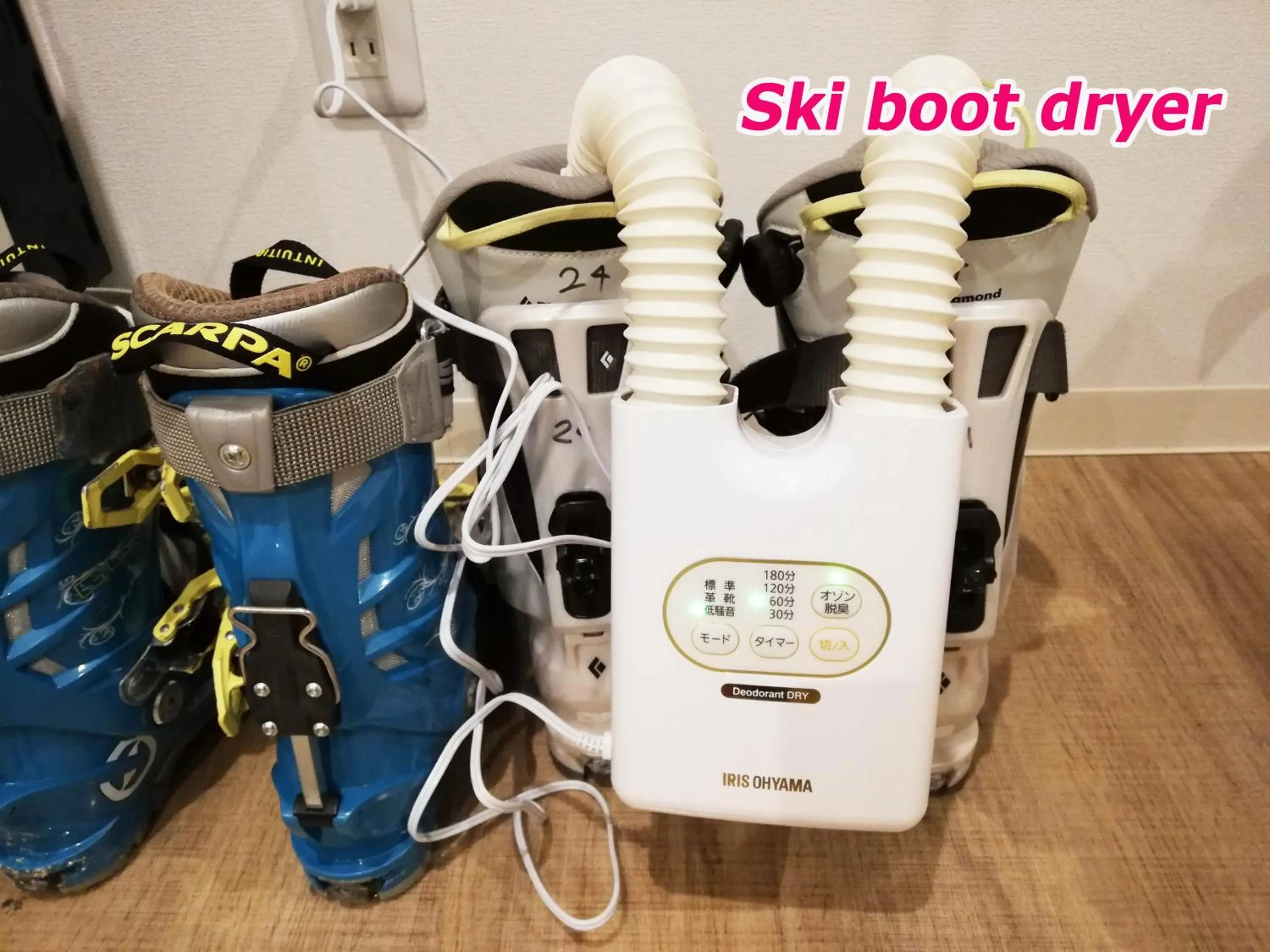 Skiing in Hotel Hanafuji Inn