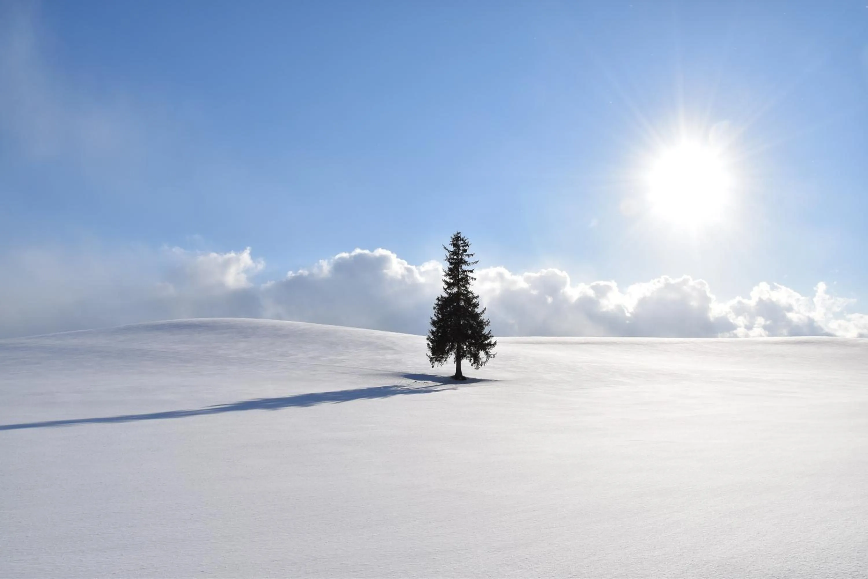 Off site in Hotel Hanafuji Inn