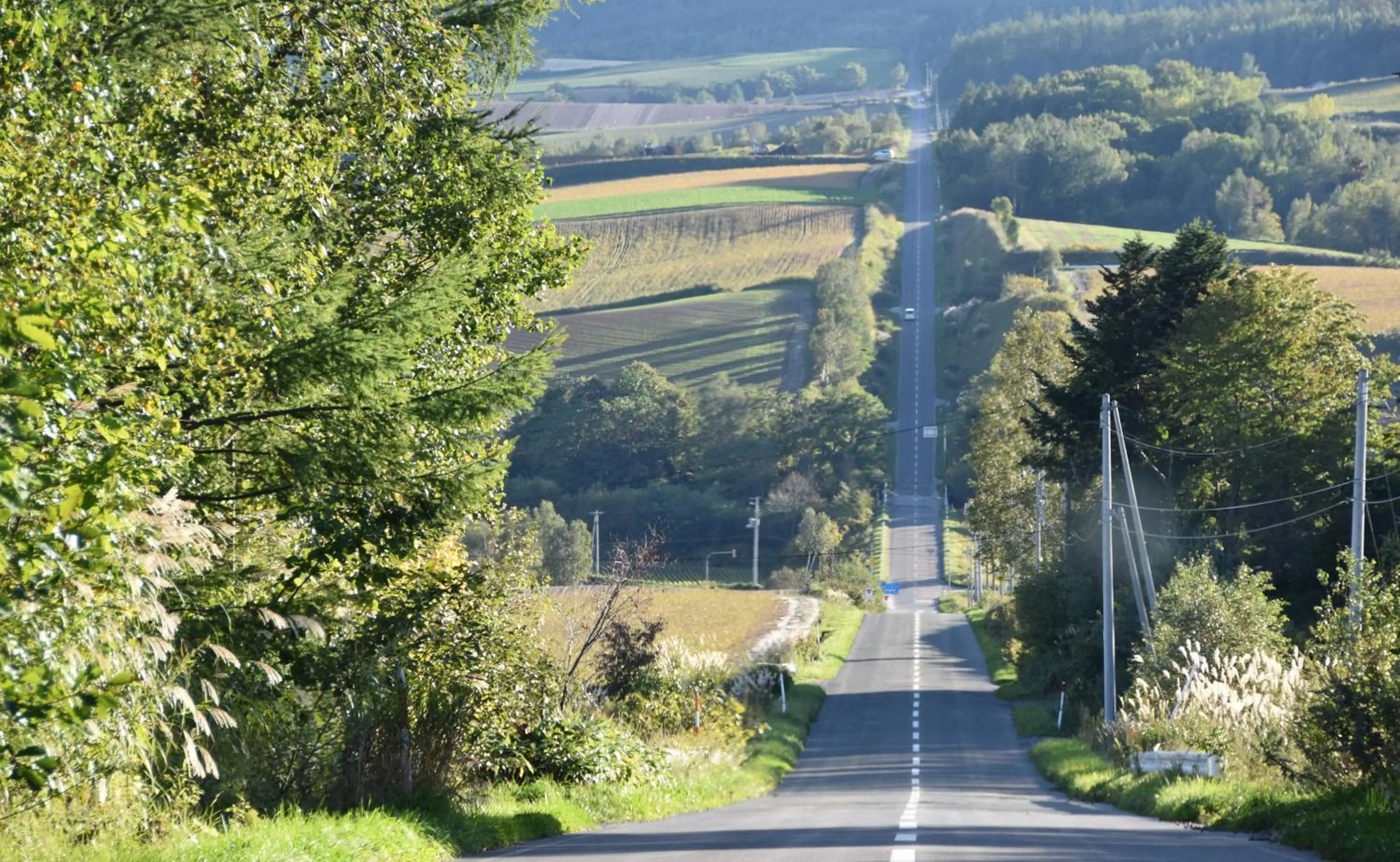 Off site in Hotel Hanafuji Inn