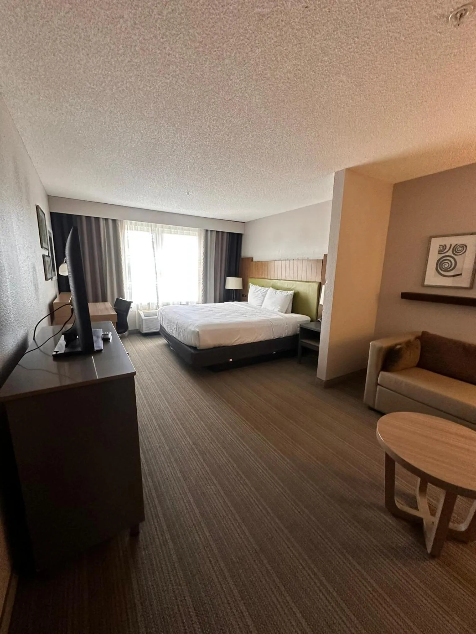 King Suite with Sofa Bed - Non Smoking/Pet Friendly in Spark by Hilton Summerville