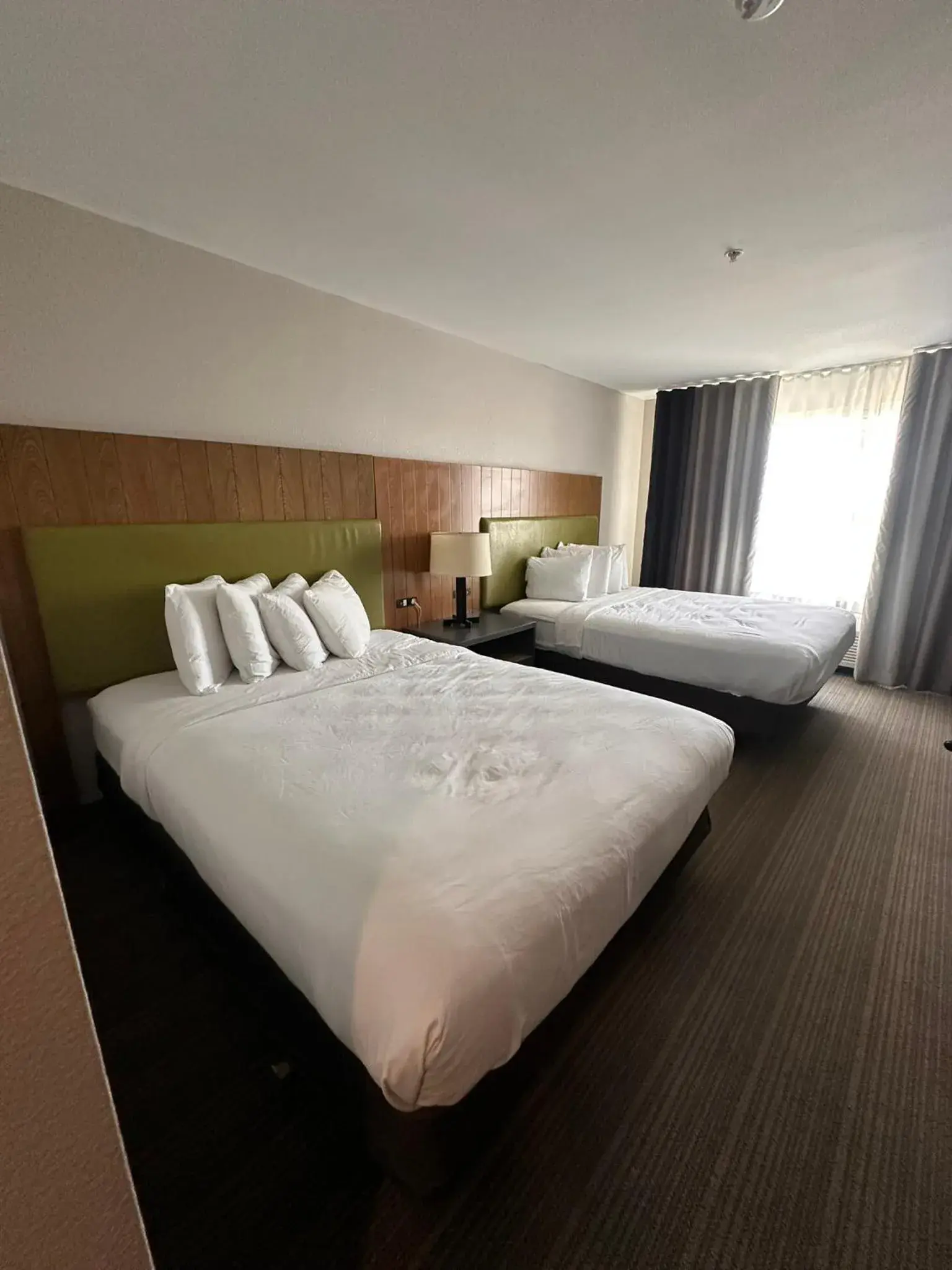 One-Bedroom Queen Suite - Non-Smoking in Spark by Hilton Summerville One-Bedroom Queen Suite - Non-Smoking in Spark by Hilton Summerville