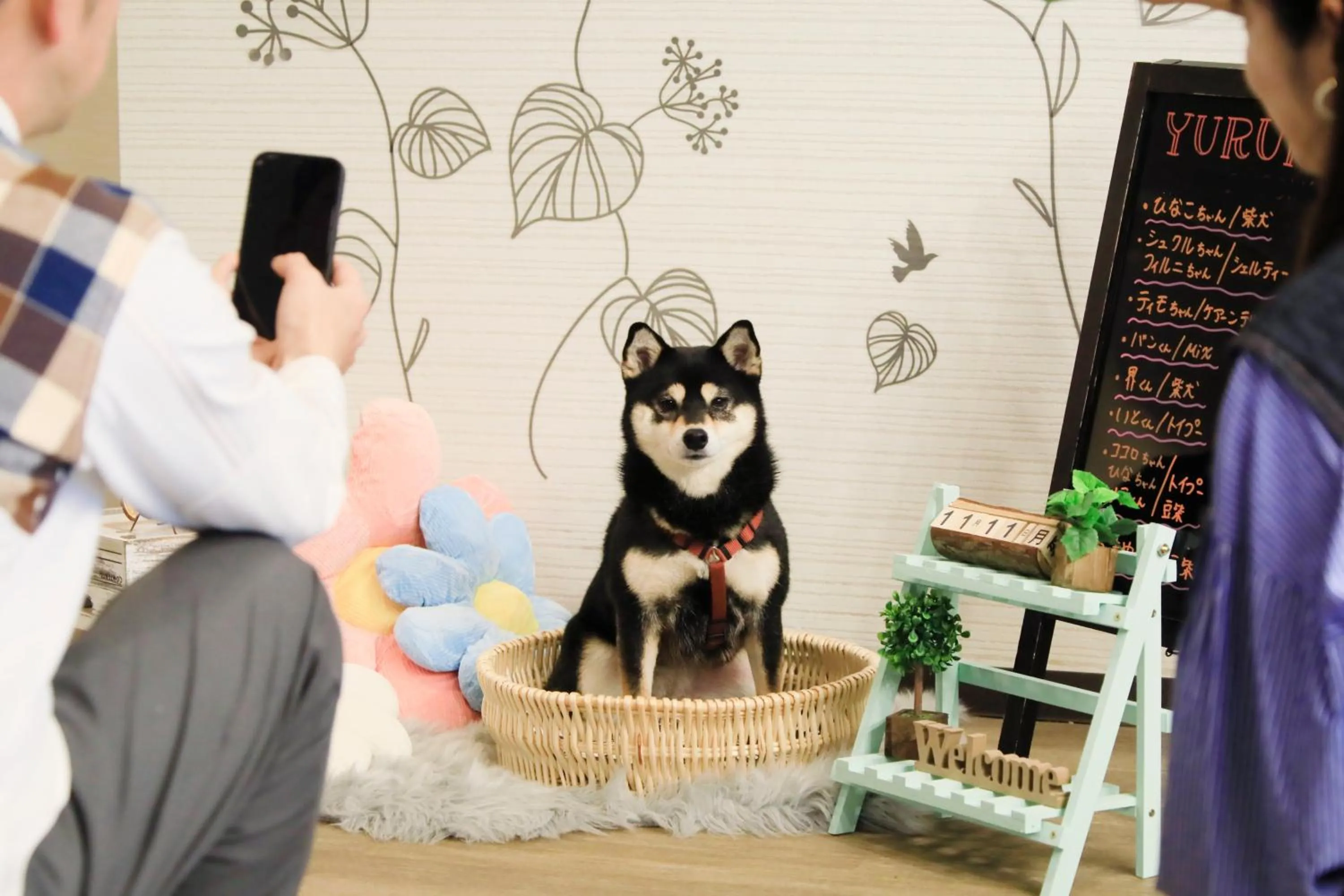 Pets in Yururi Nishiizu