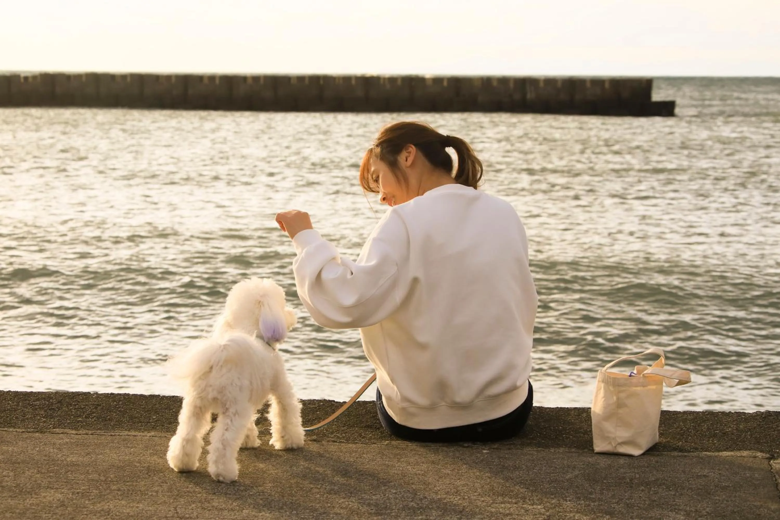 Nearby landmark in Yururi Nishiizu