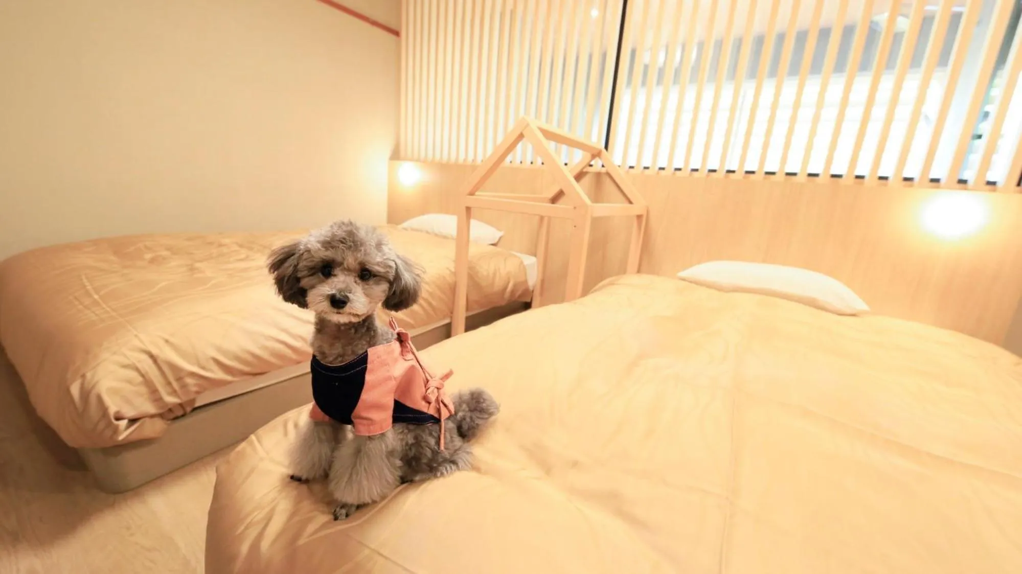 Other, Bed in Yururi Nishiizu