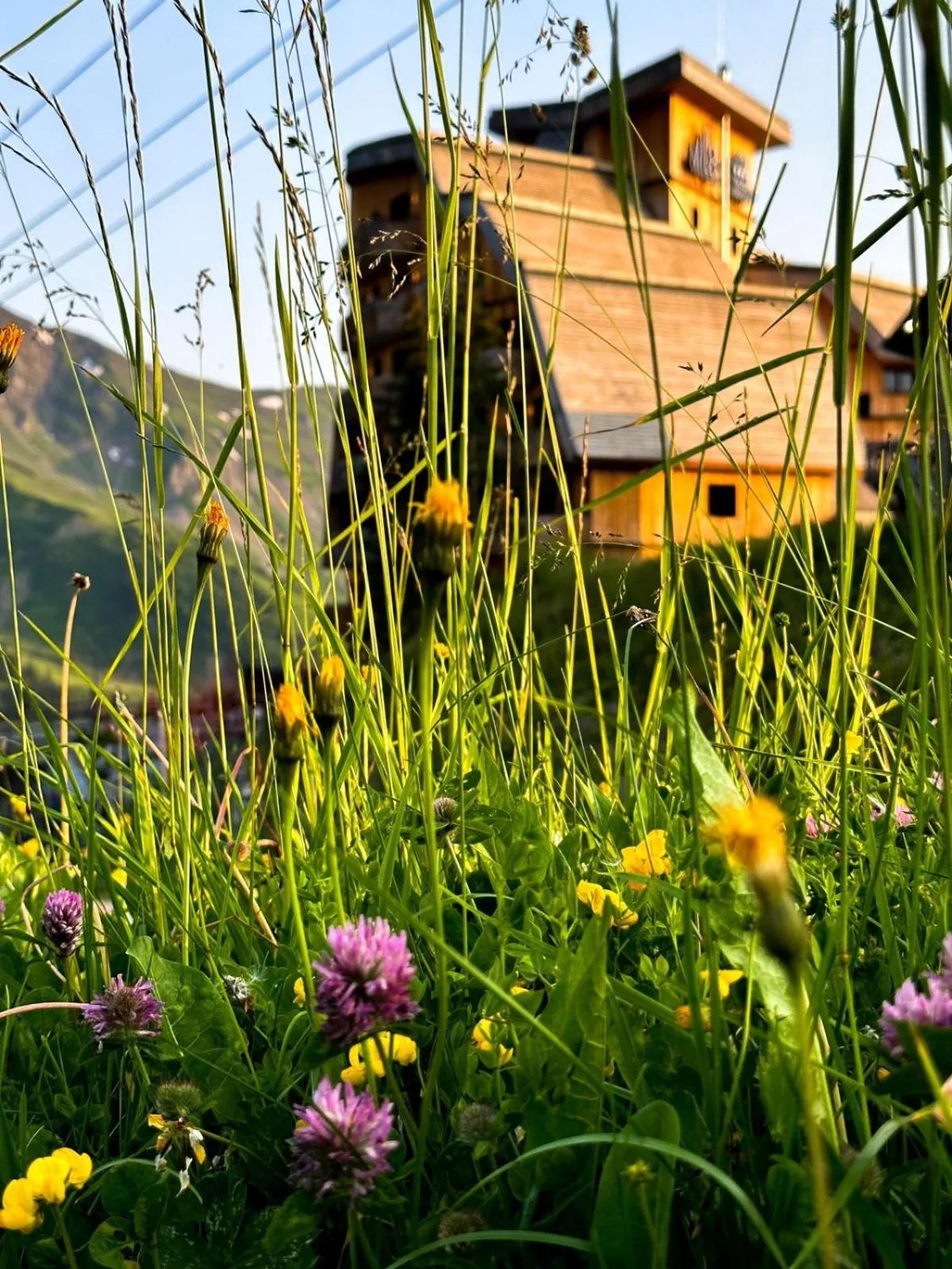 Property building in Hôtel MiL8