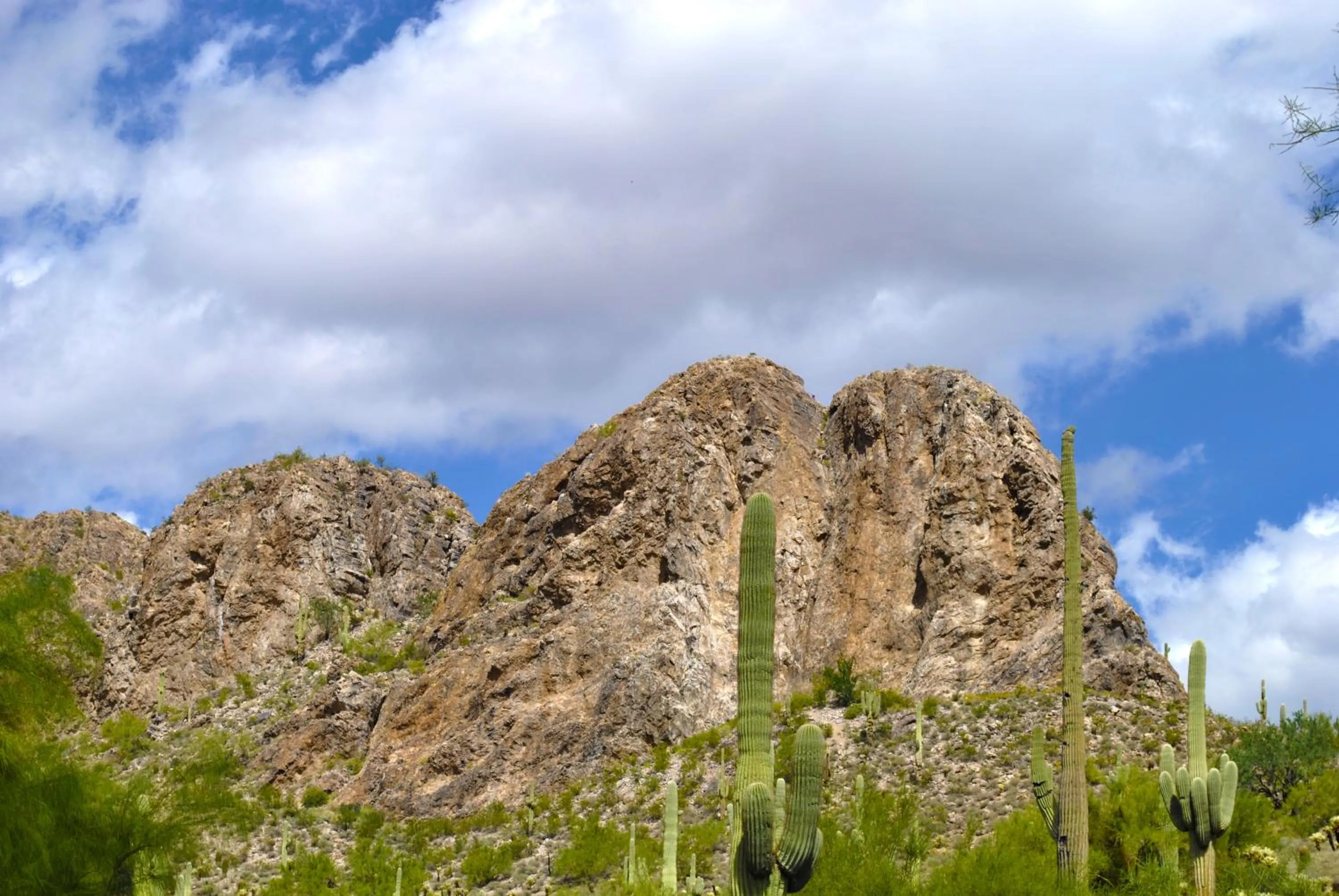 View (from property/room) in Gold Canyon Golf Resort
