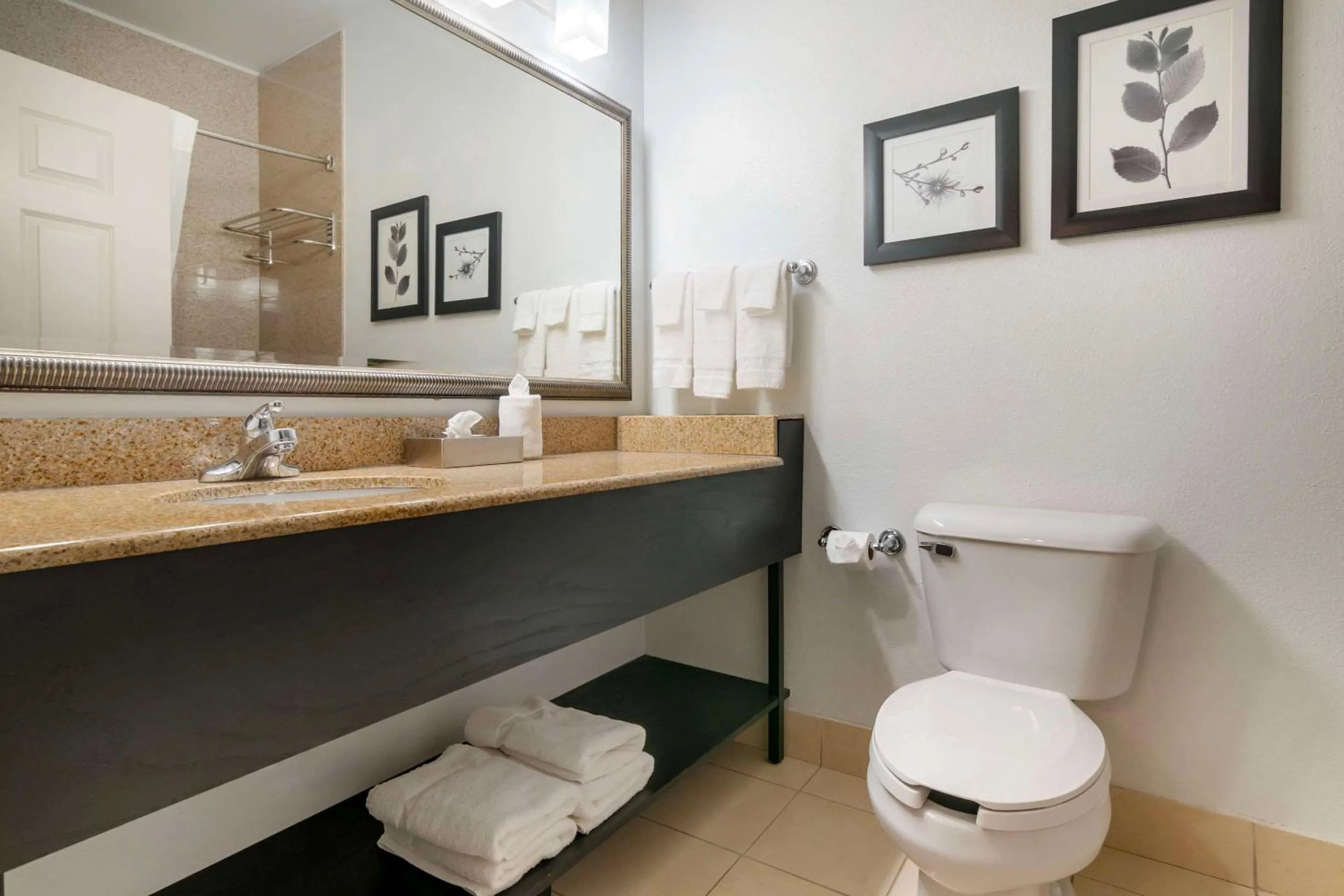 Bedroom in Country Inn & Suites by Radisson, Columbia, MO