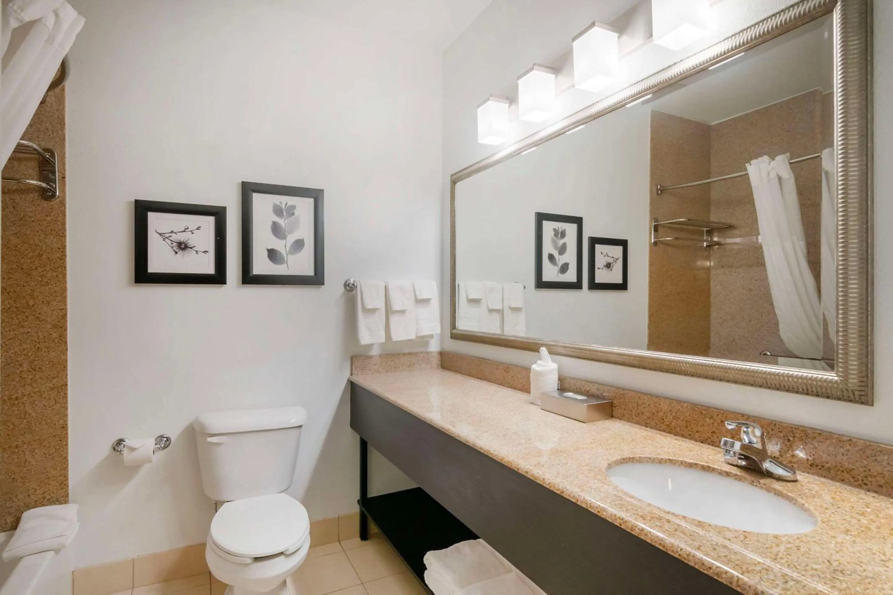 Bedroom in Country Inn & Suites by Radisson, Columbia, MO