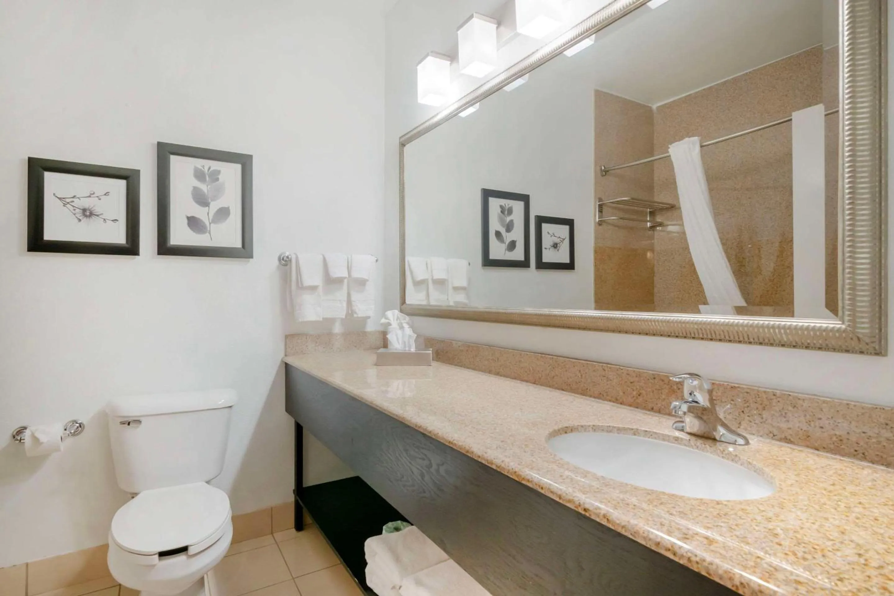 Bedroom in Country Inn & Suites by Radisson, Columbia, MO