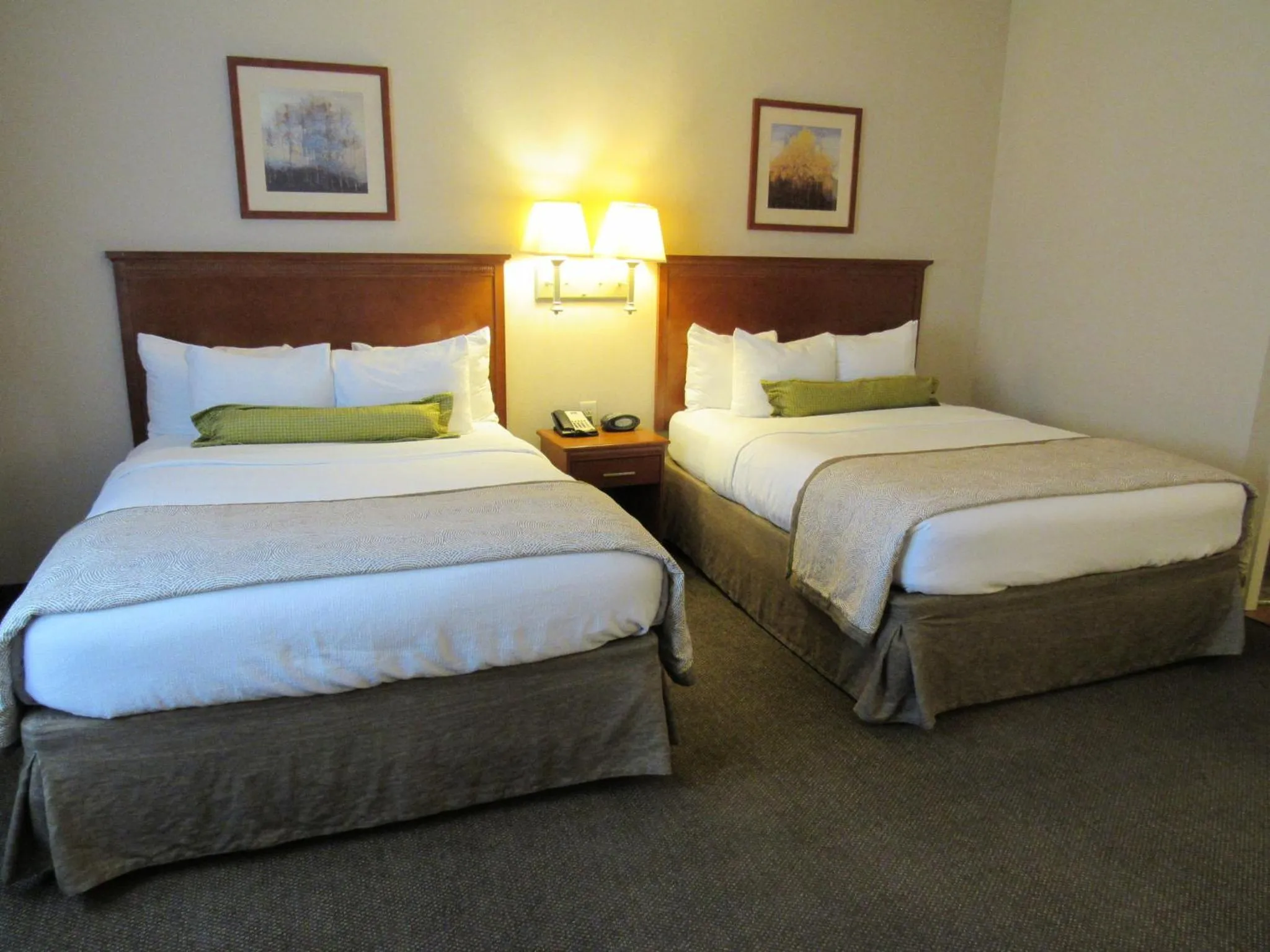Photo of the whole room, Bed in Candlewood Suites Murfreesboro by IHG