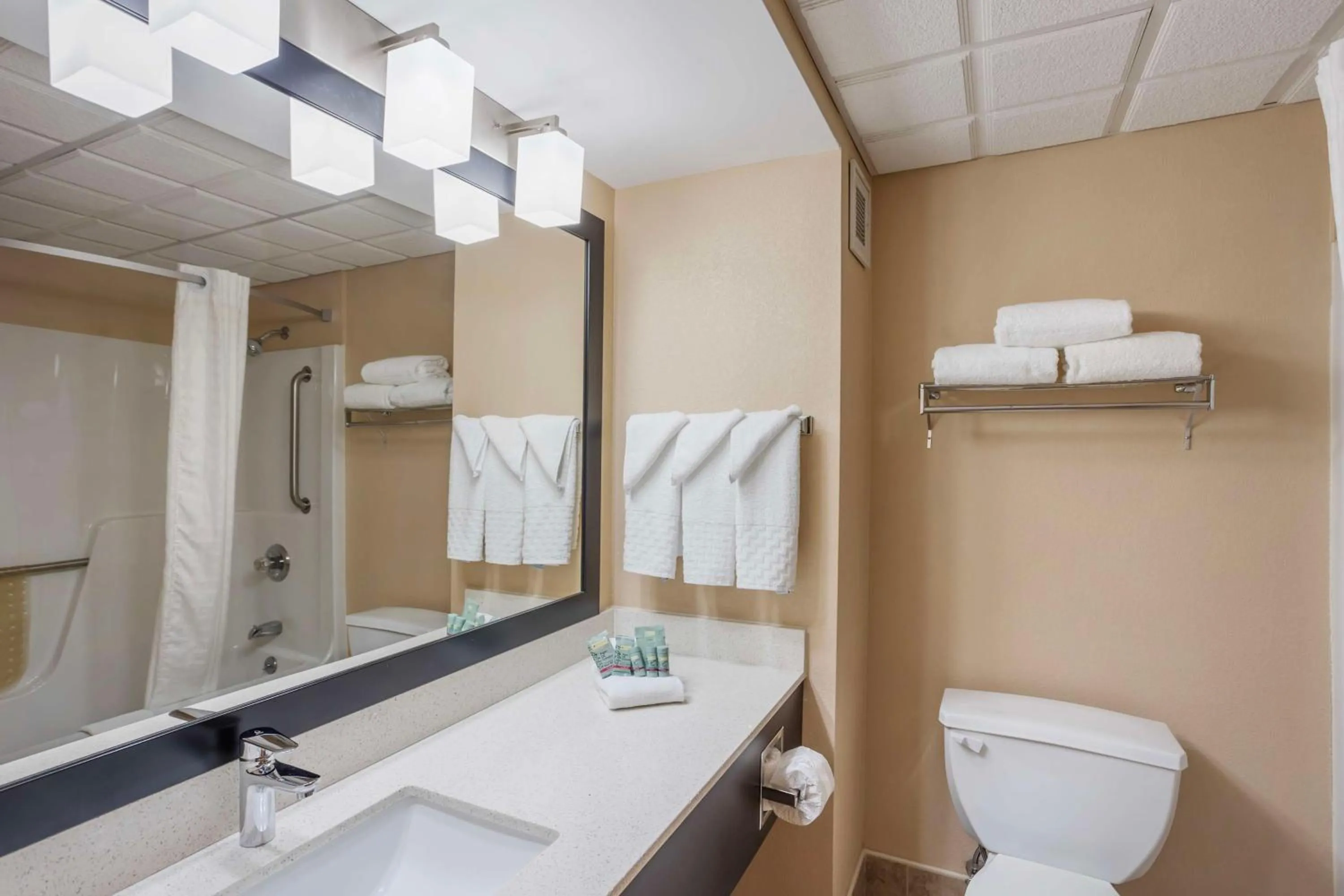 Bathroom in Best Western Inn at Blakeslee-Pocono