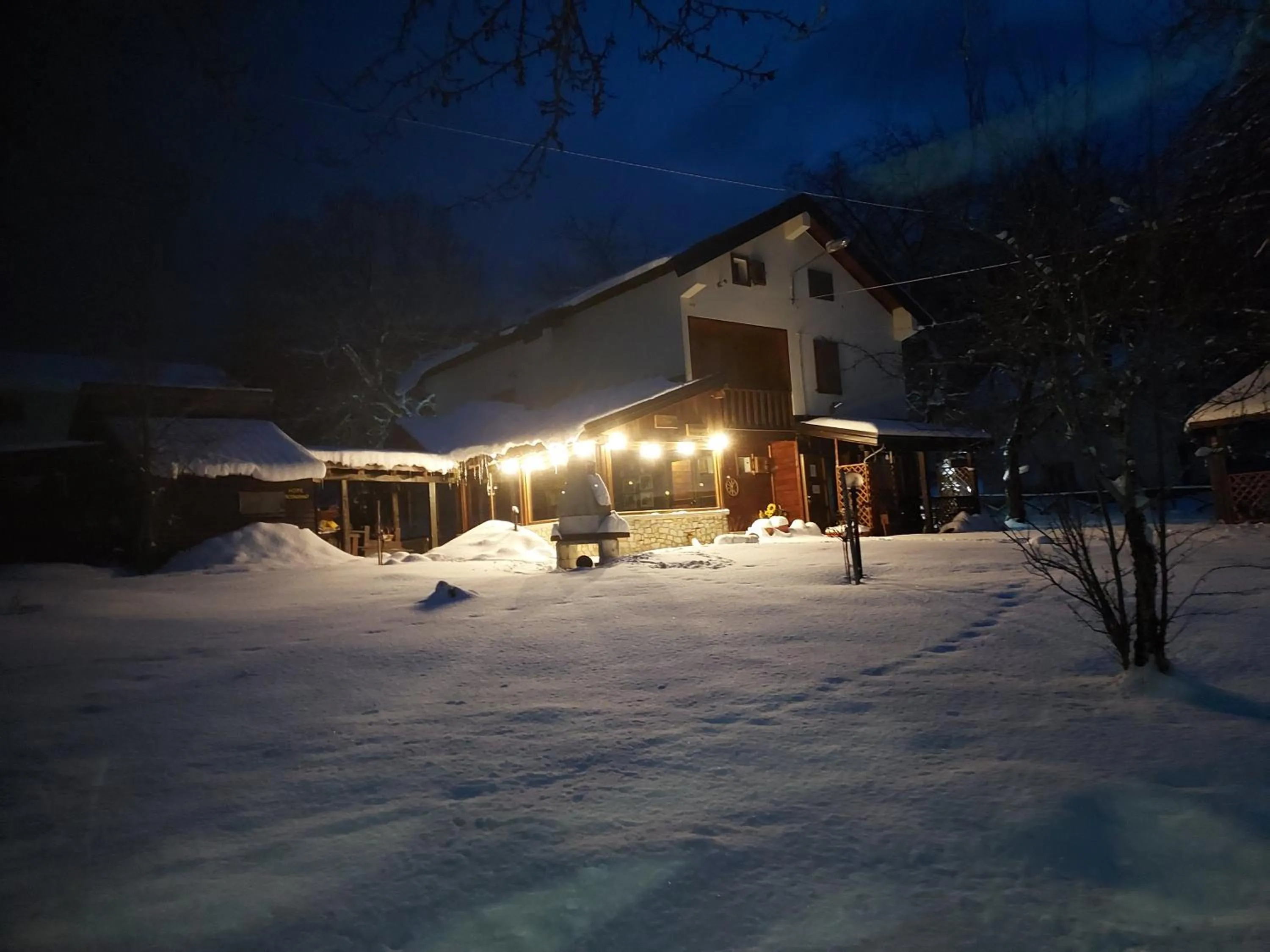 Il posto del ciliegio selvatico