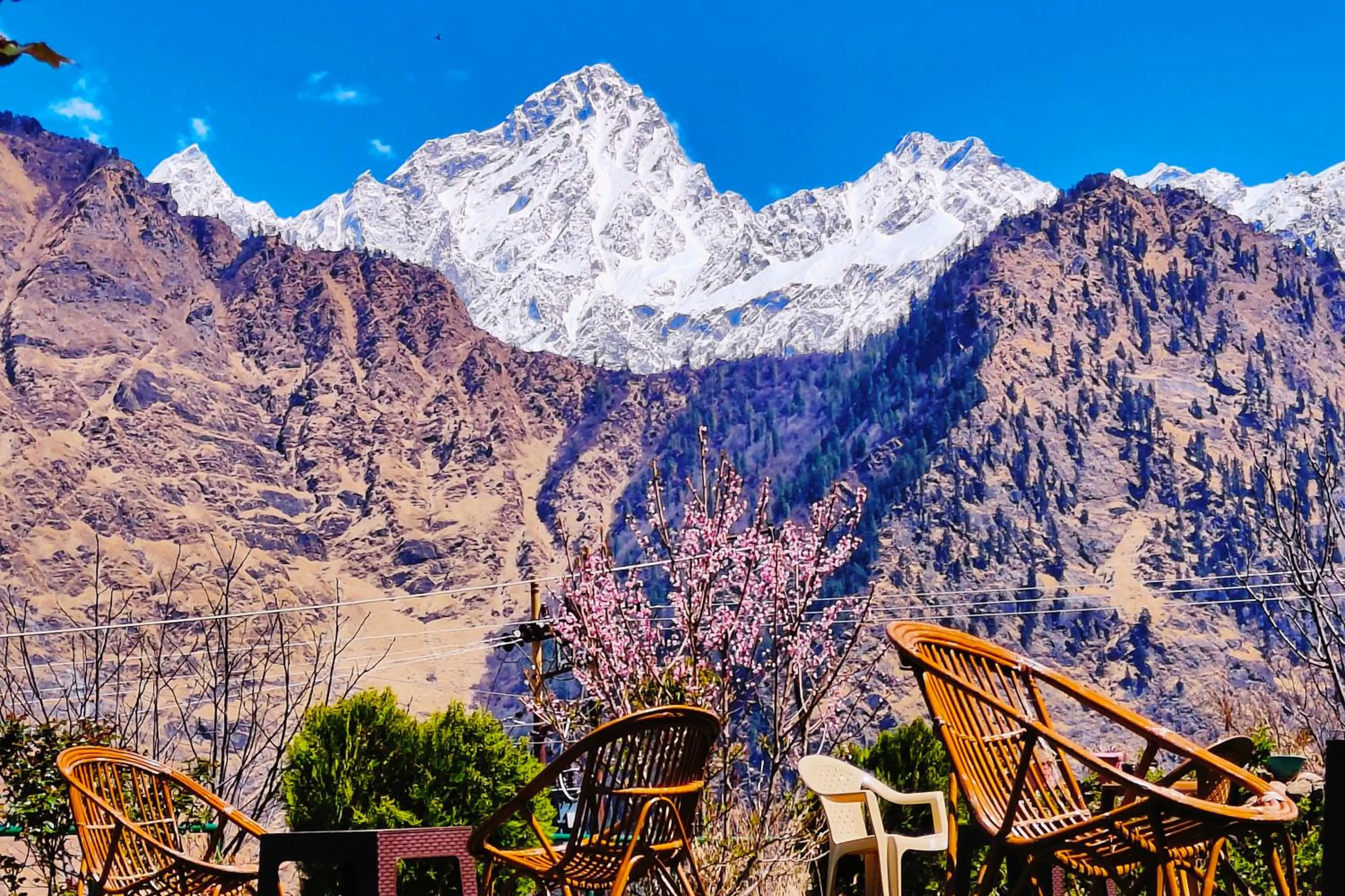 Natural landscape in Himalayan High, Auli, By Himalayan Eco Lodges