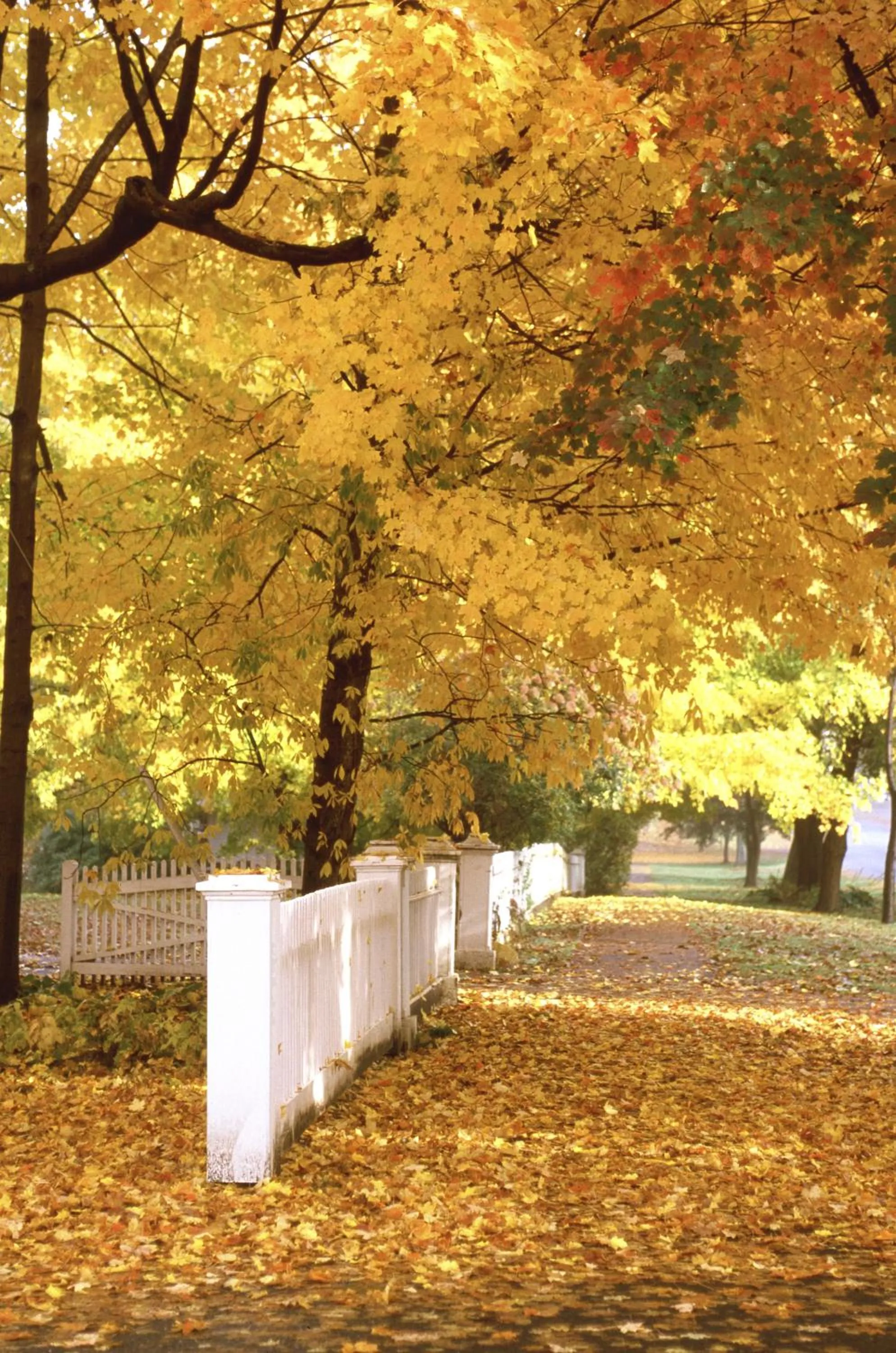 Street view in Deerfield Inn