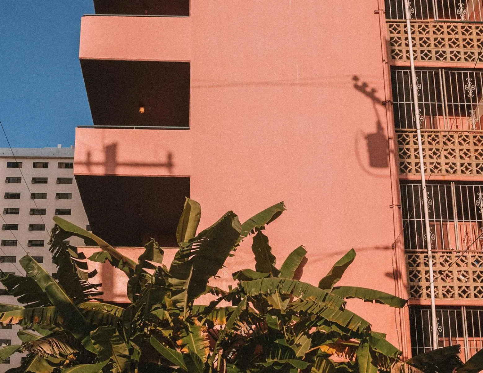 Property building in Royal Grove Waikiki