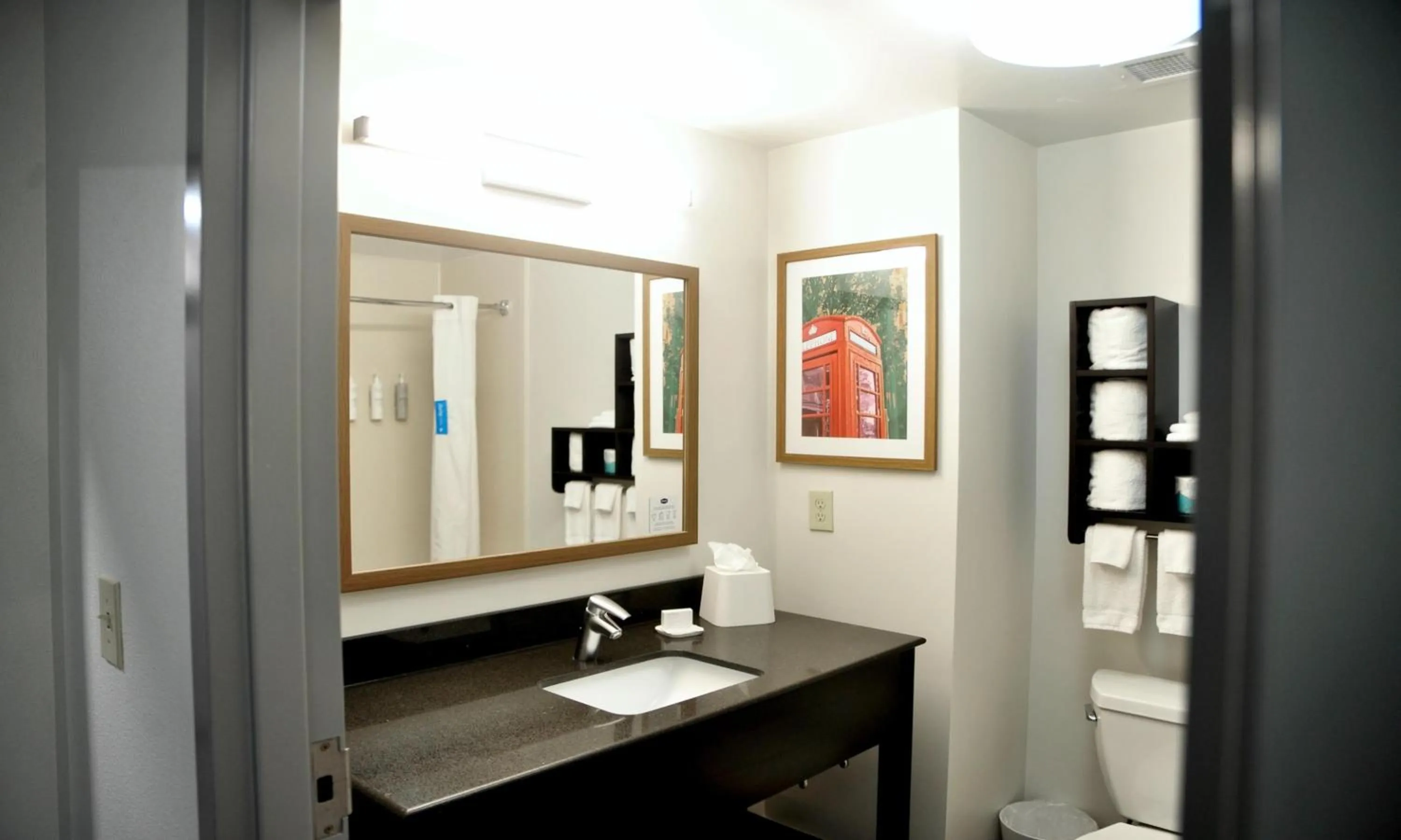 Bathroom in Hampton Inn Oxford/Conference Center