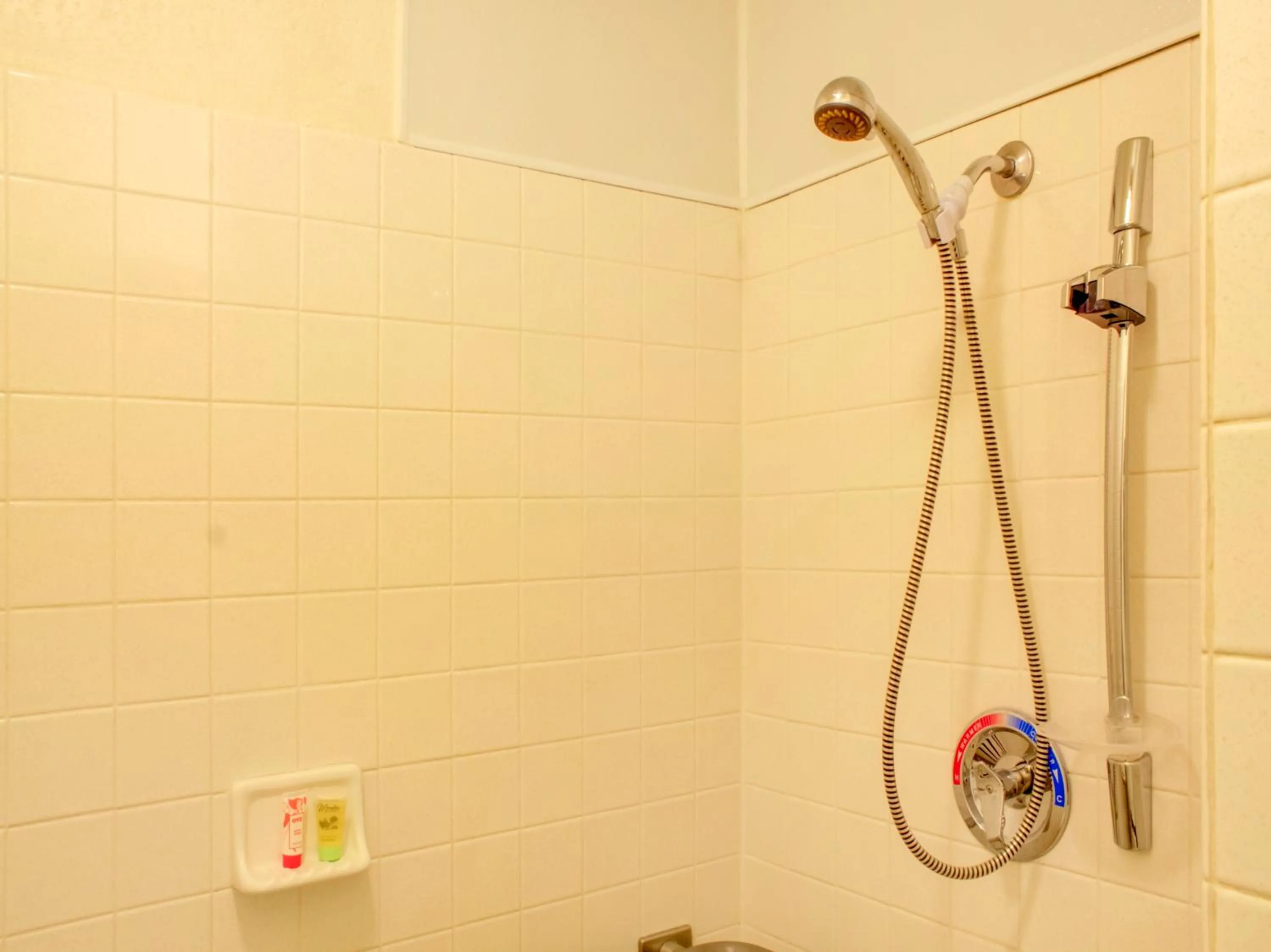 Shower in Travelodge by Wyndham Miles City
