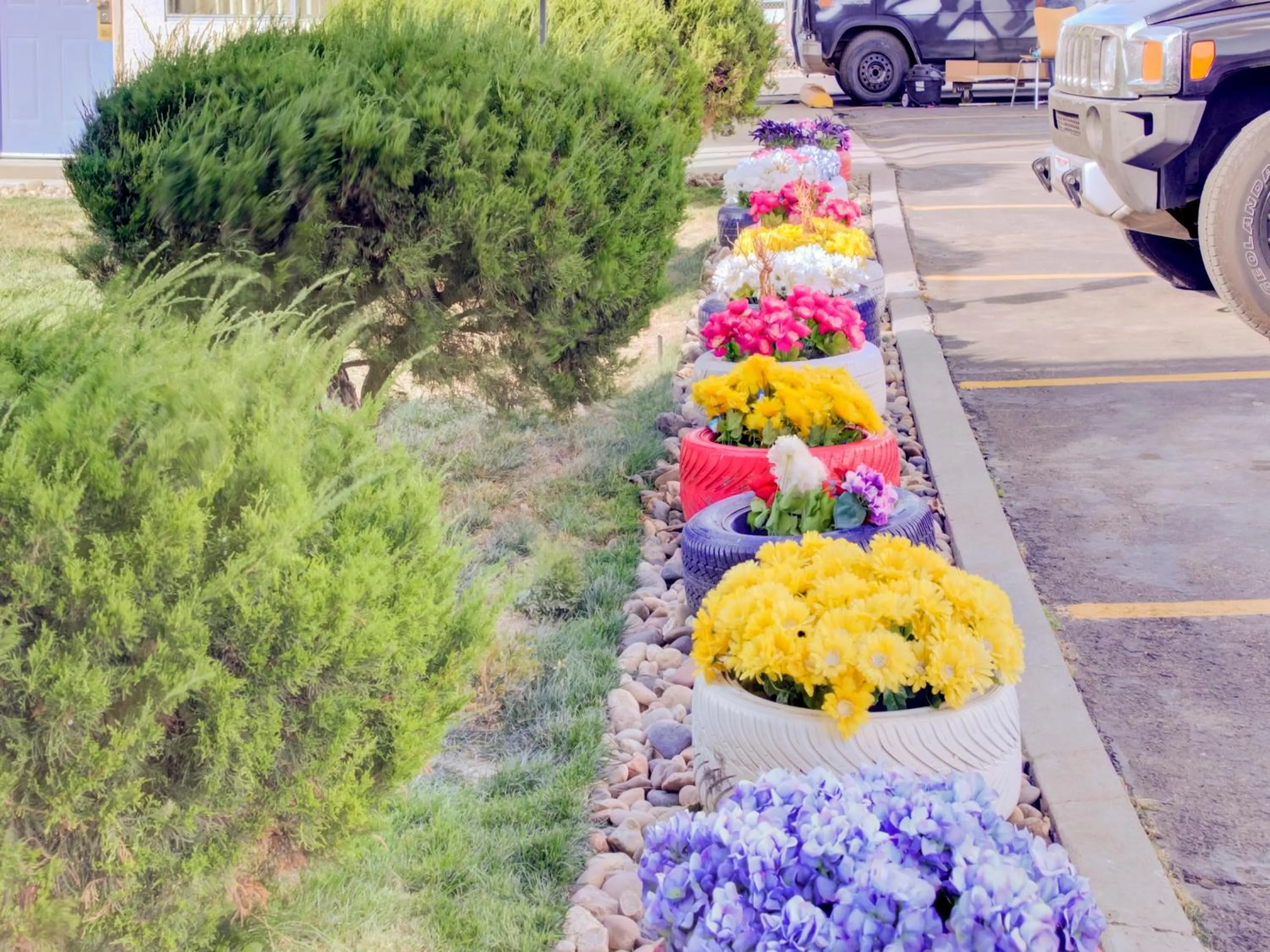 Garden in Travelodge by Wyndham Miles City