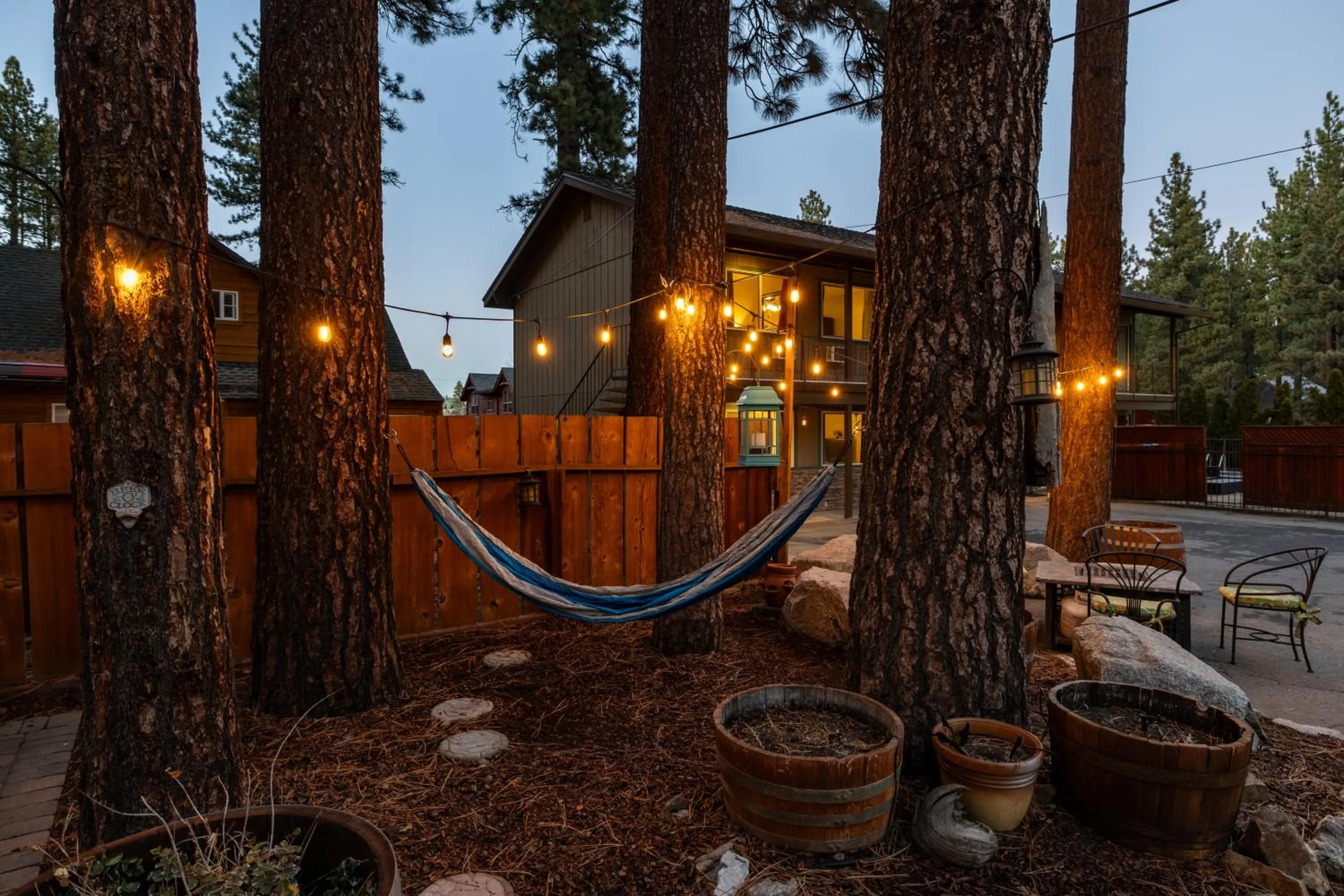 Entertainment in The Alder Inn