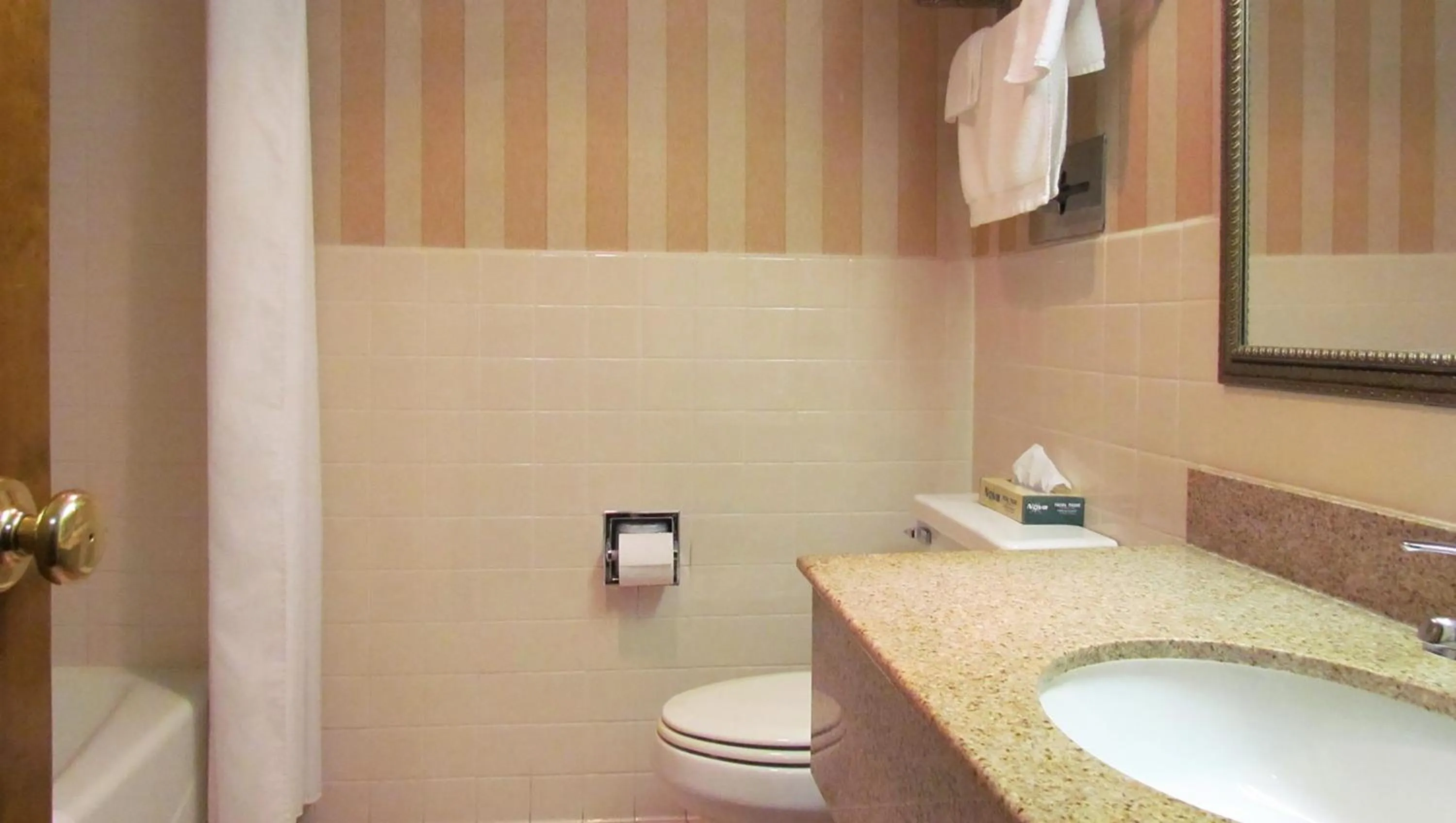 Bathroom in Magnuson Grand Pioneer Inn and Suites