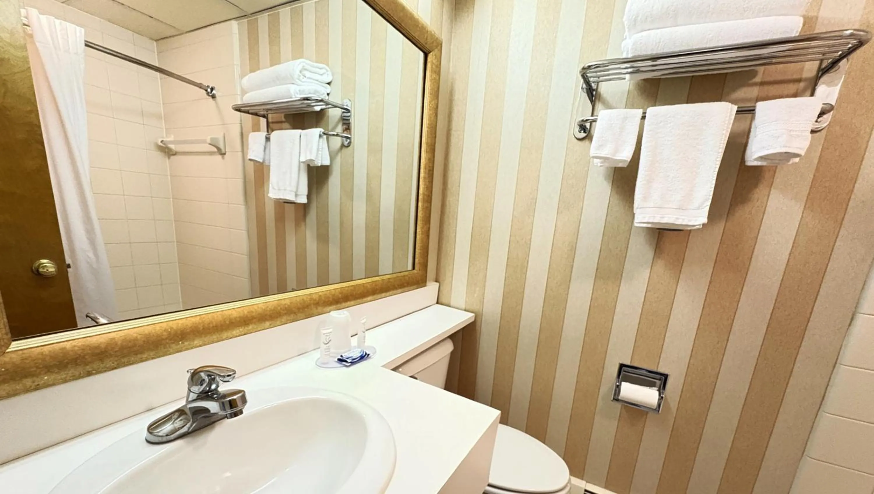 Bathroom in Magnuson Grand Pioneer Inn and Suites