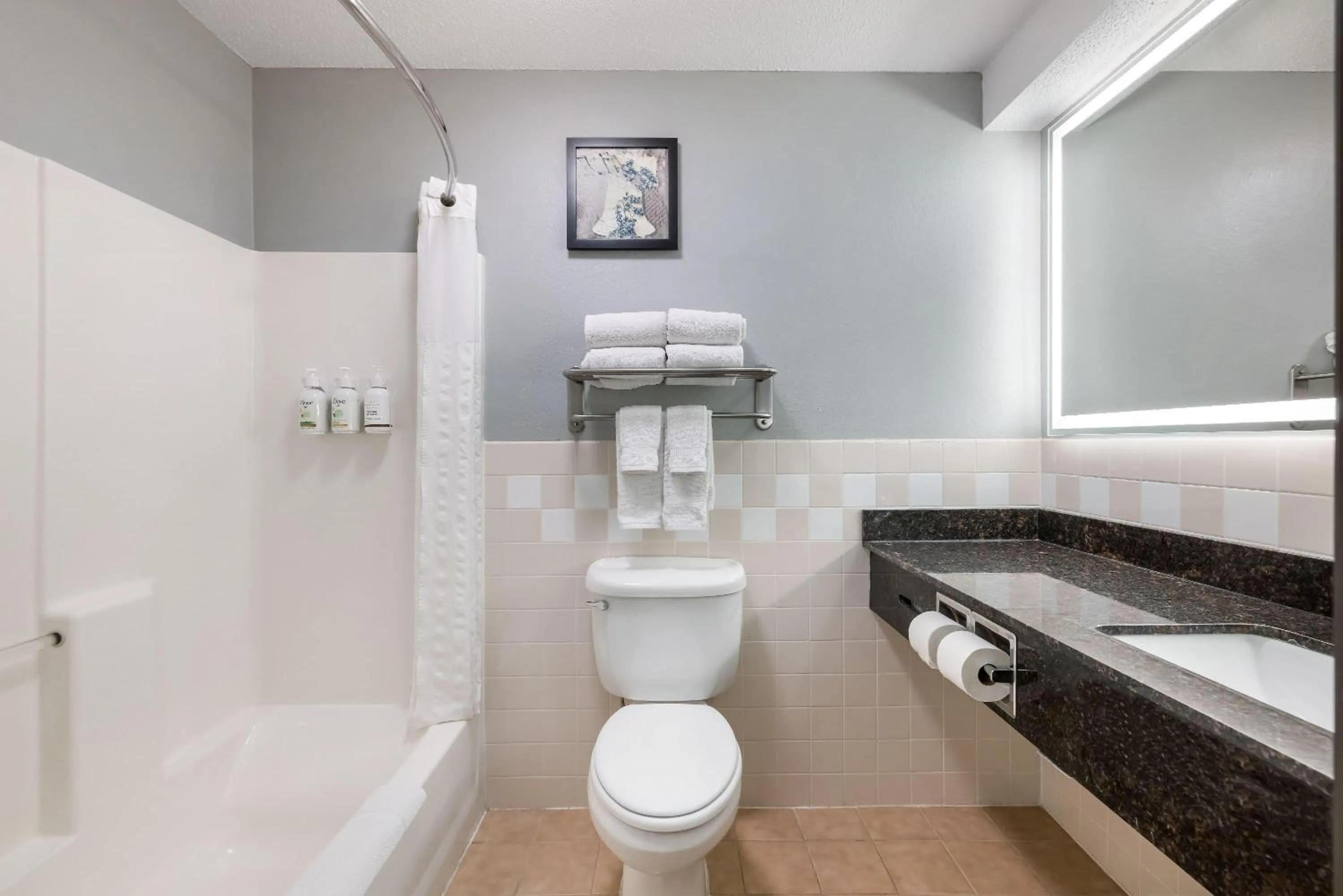 Bathroom in AmericInn by Wyndham Aberdeen Event Center