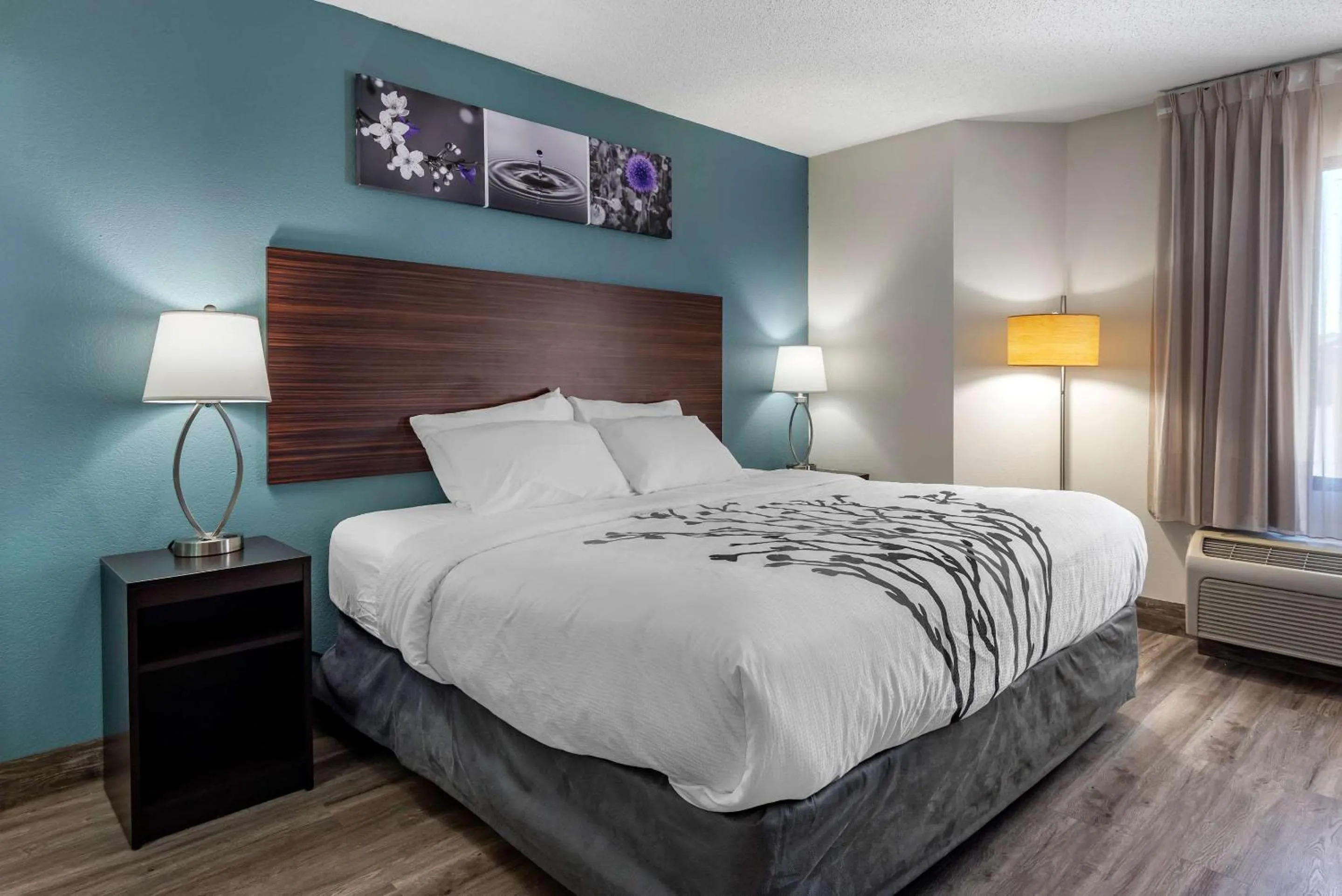 Bedroom, Bed in Sleep Inn - Salisbury I-85