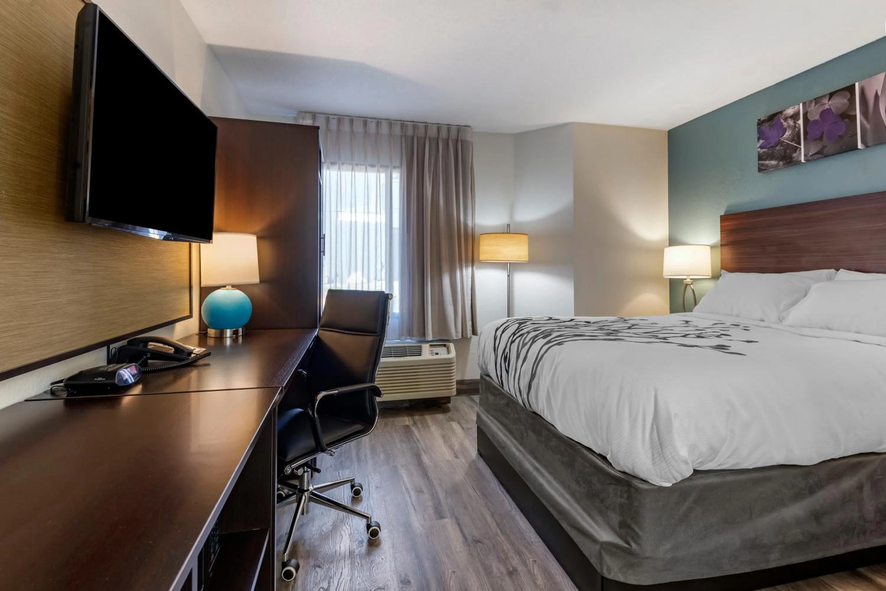 TV and multimedia, Bed in Sleep Inn - Salisbury I-85