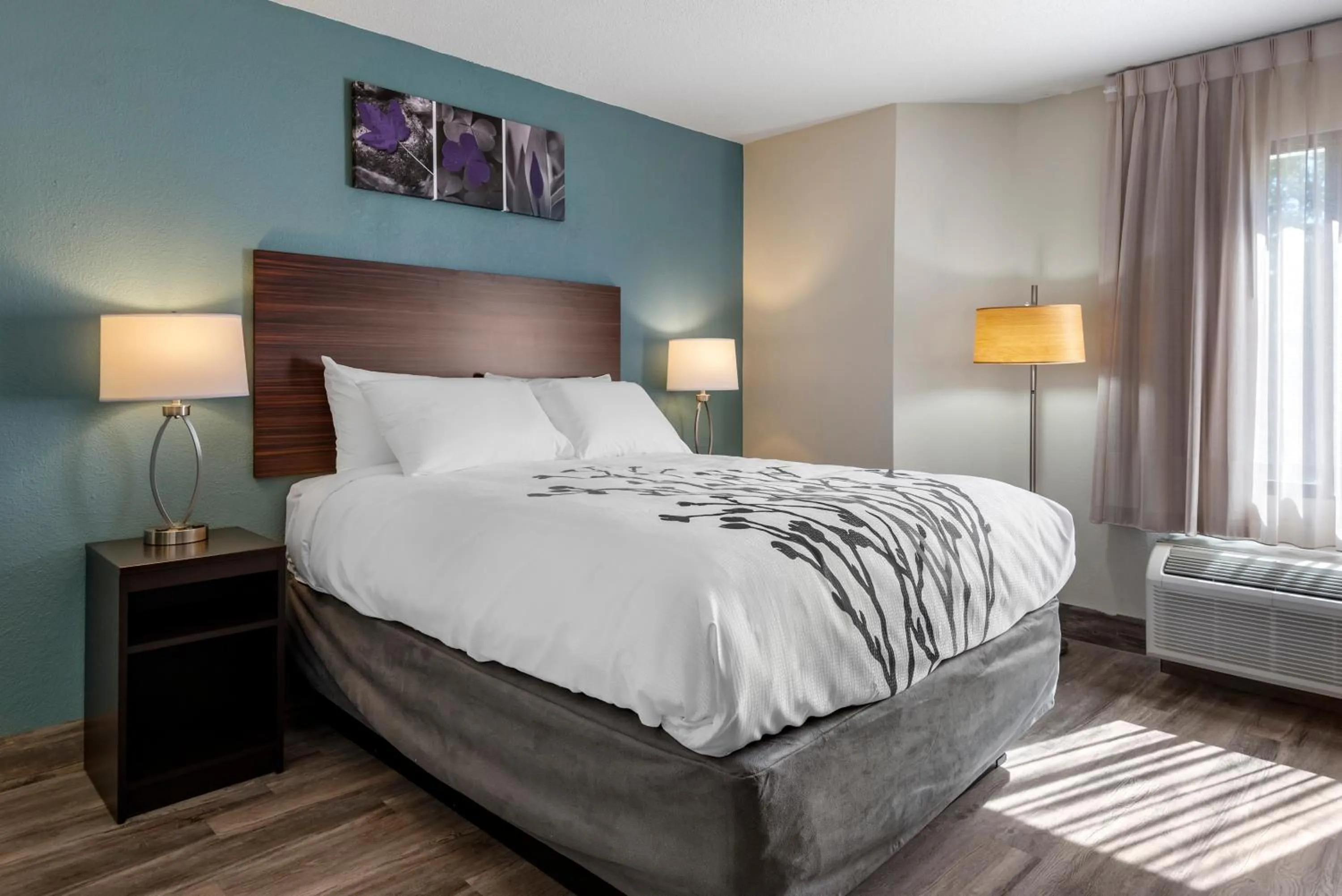 Photo of the whole room, Bed in Sleep Inn - Salisbury I-85