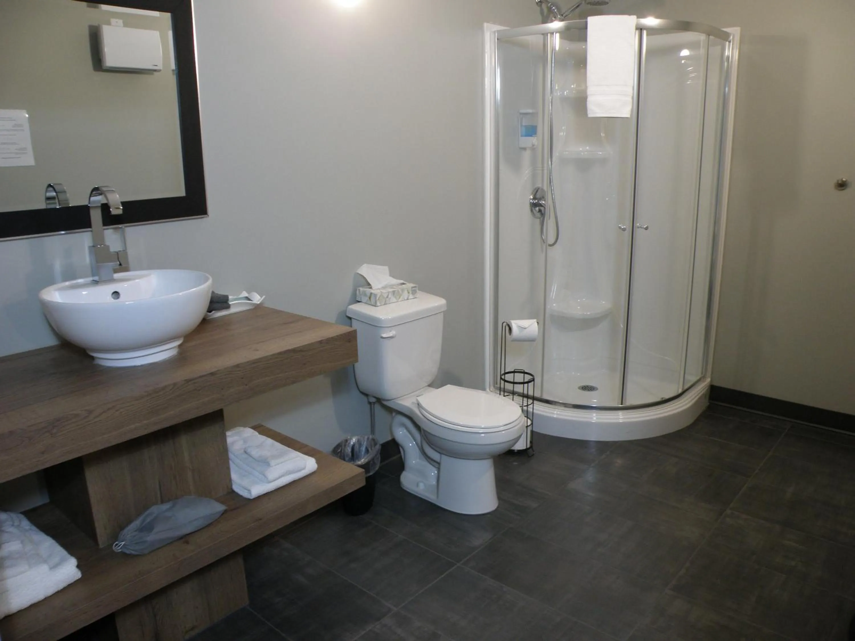 Shower in Motel Hotelia