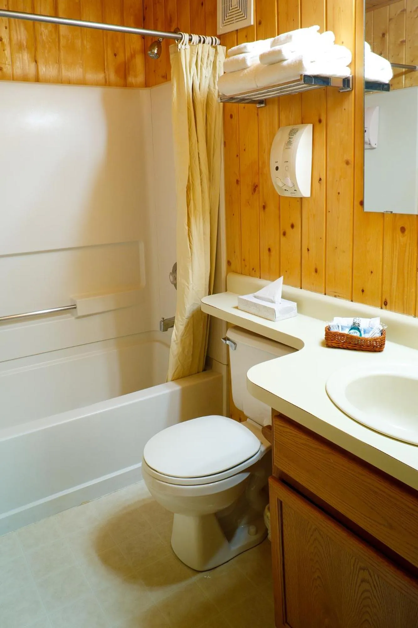 Bathroom in Togwotee Mountain Lodge
