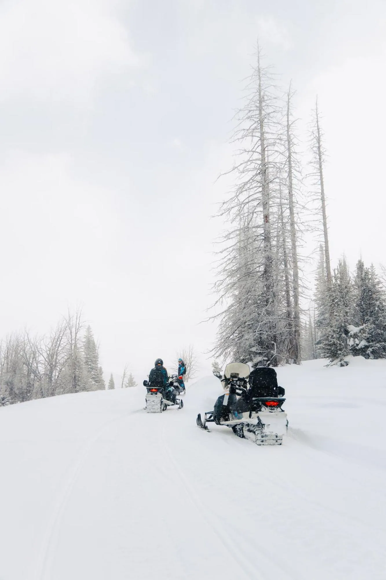 Winter in Togwotee Mountain Lodge