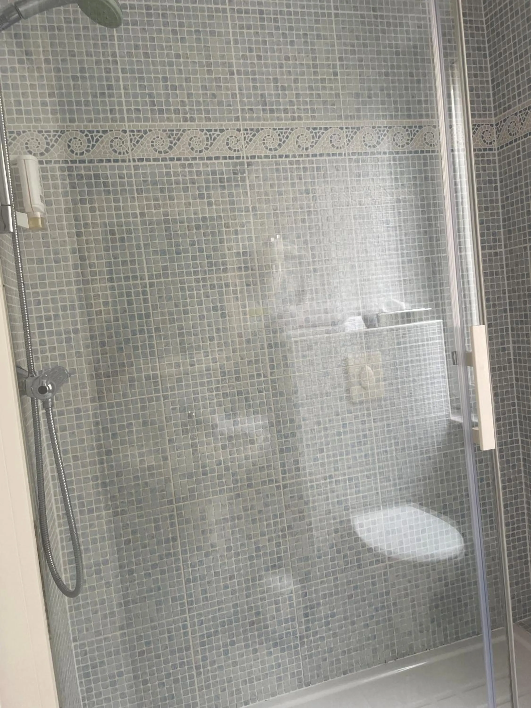 Shower in Hotel Ajoncs d'Or