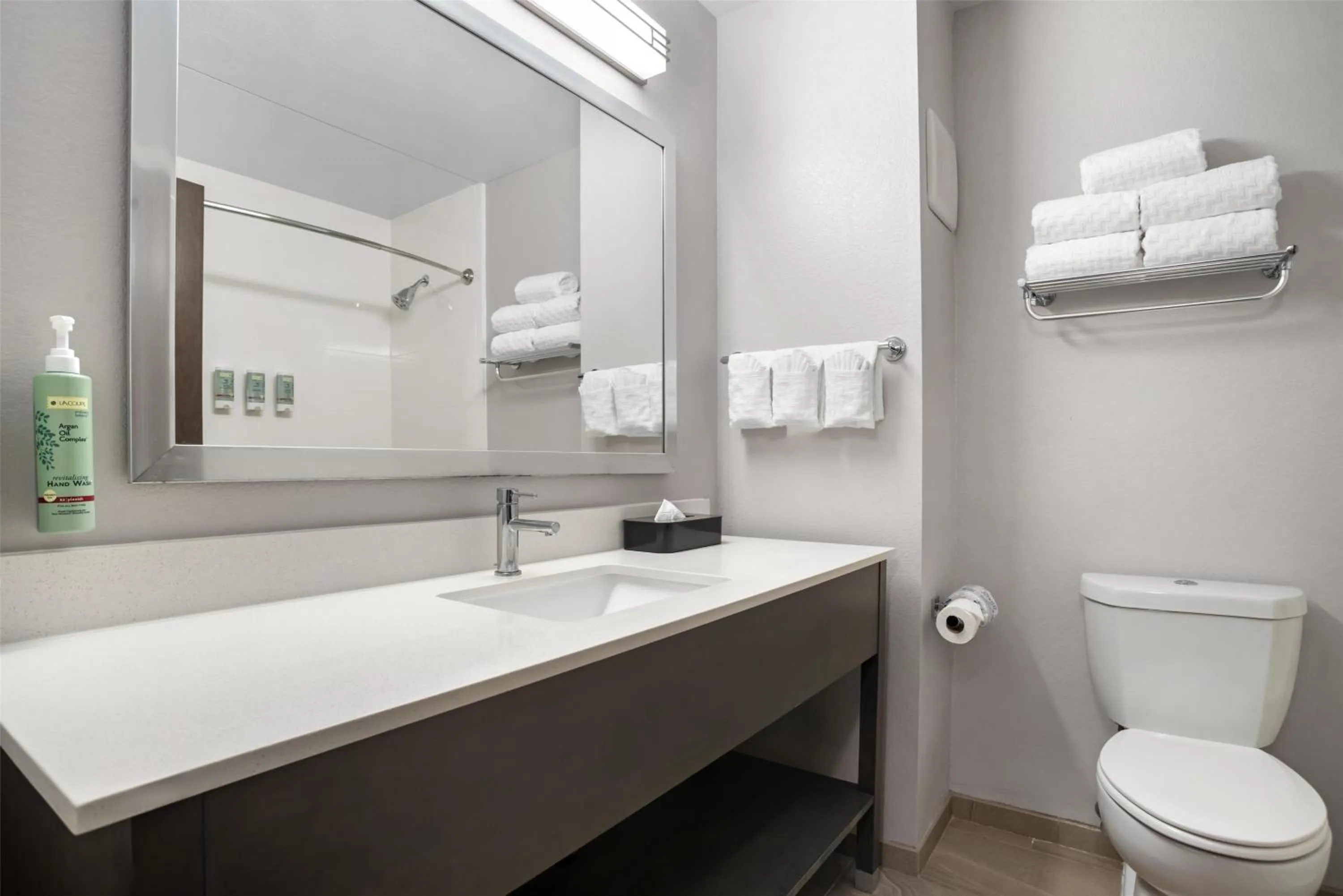 Bathroom in Best Western Brewton Inn